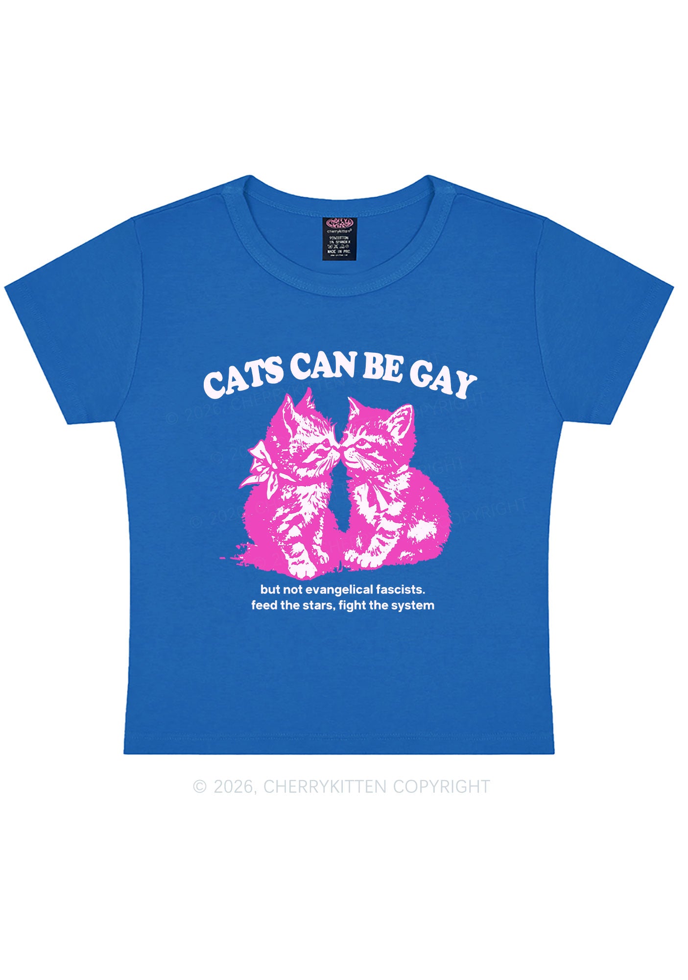 Cat Can Be Gay Pride Y2K Baby Tee Cherrykitten