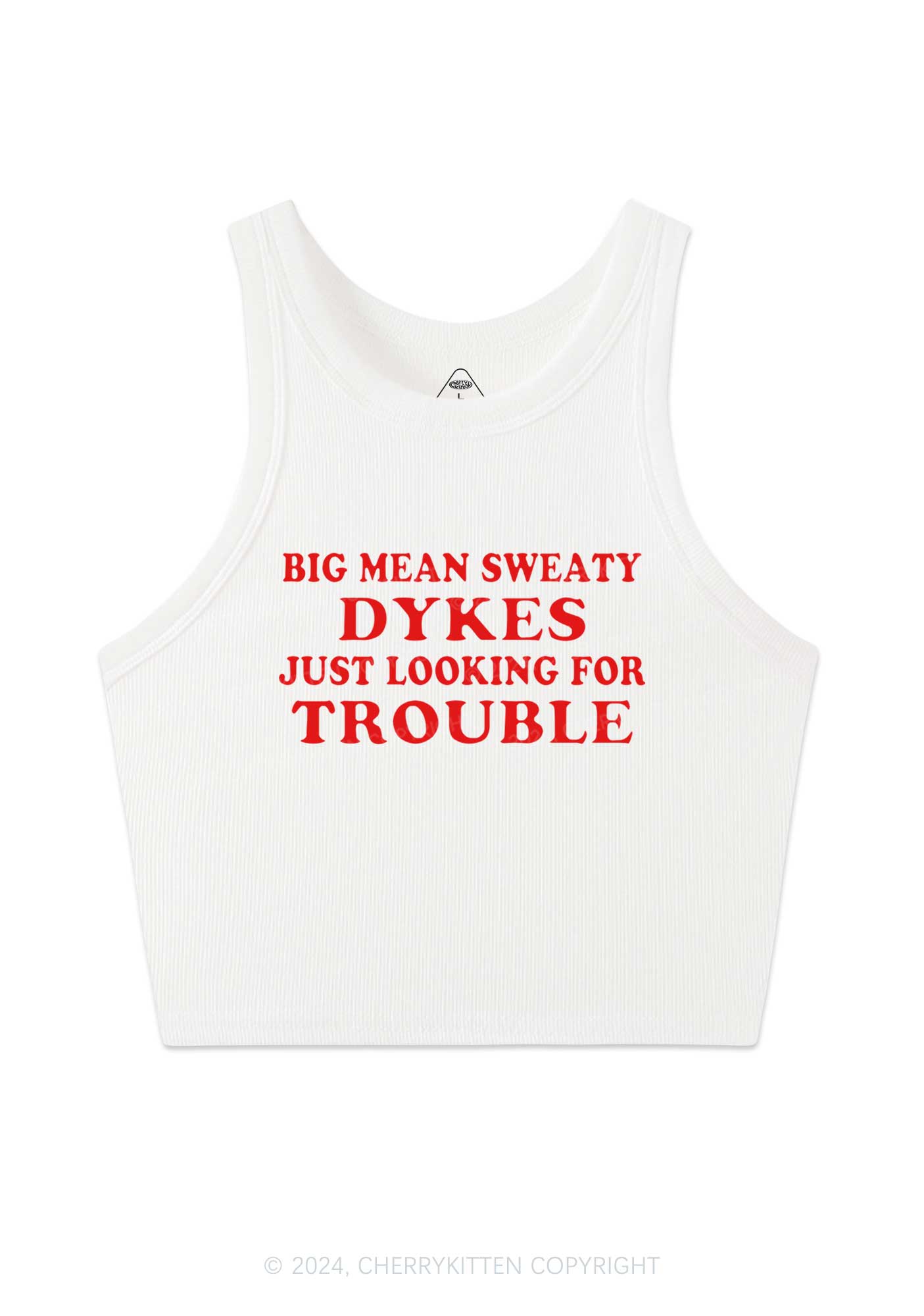 Dykes Trouble Y2K Crop Tank Top Cherrykitten