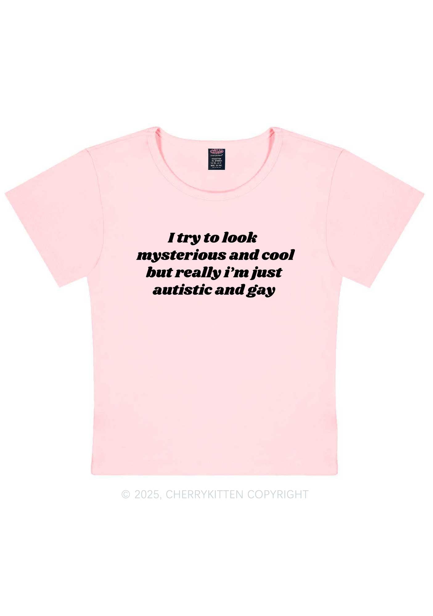 Im Just Autistic And Gay Pride Y2K Baby Tee Cherrykitten
