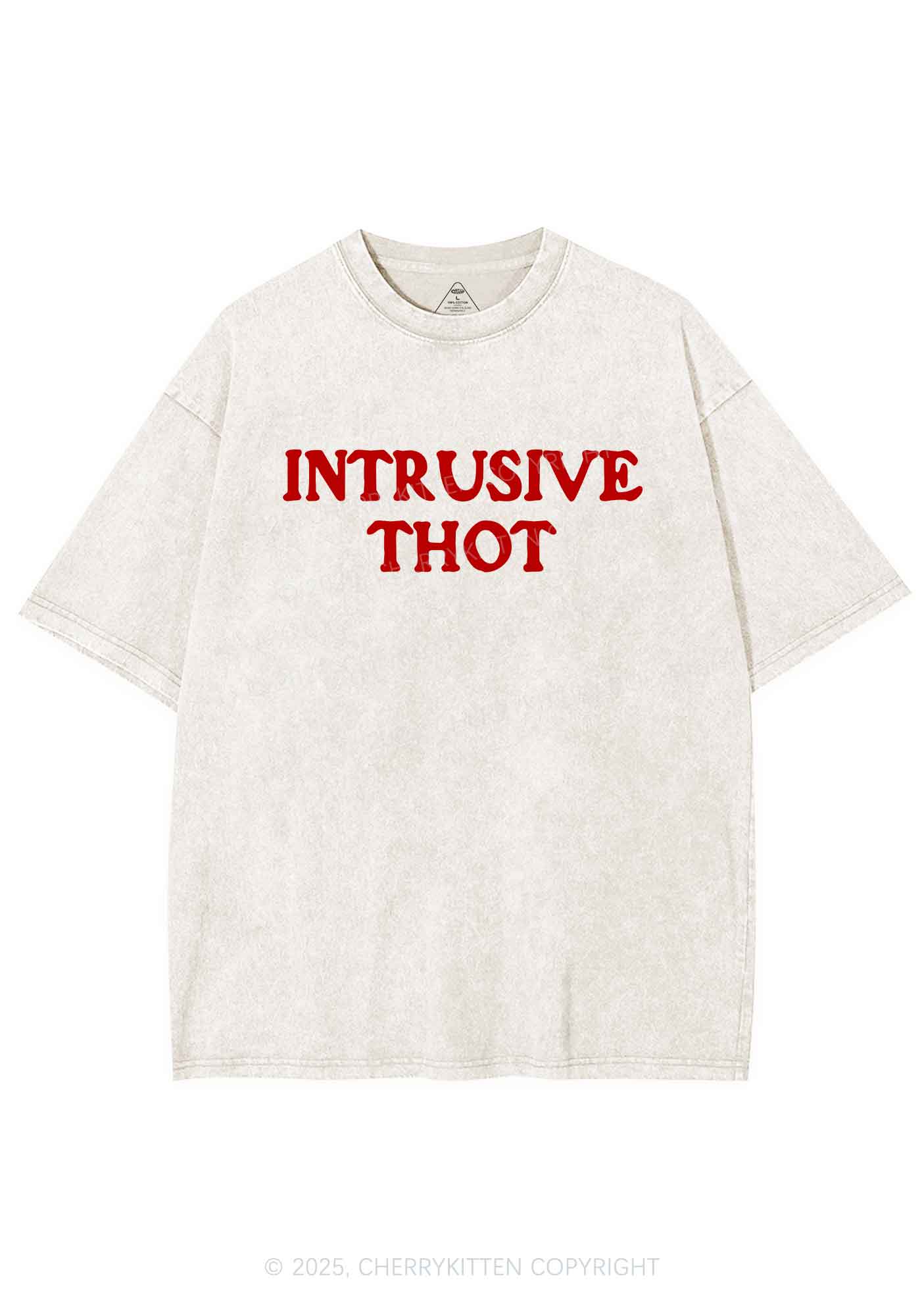 Intrusive Thot Y2K Shirts Washed Tee Cherrykitten