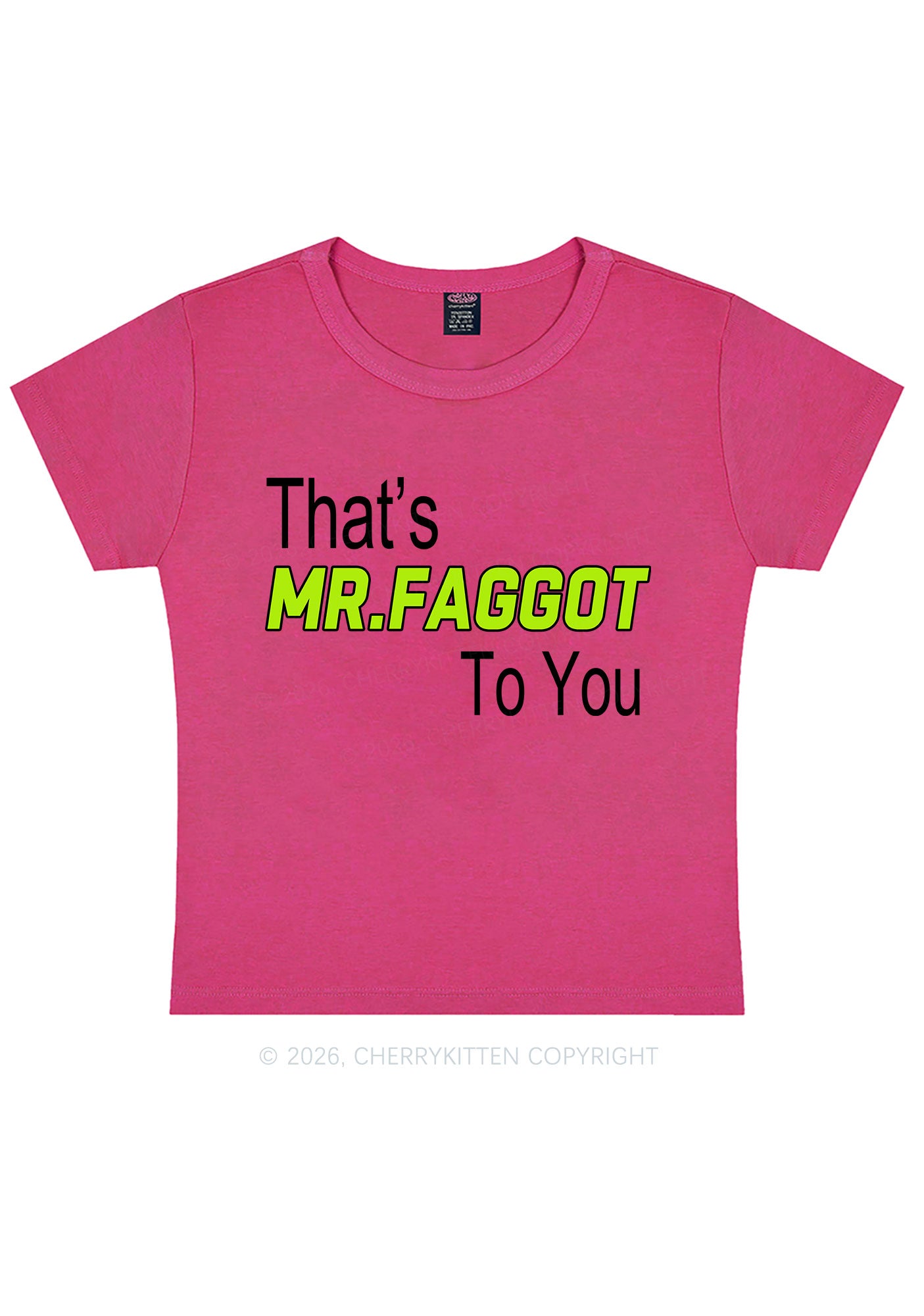 Thats Mr Faggot To You Pride Y2K Baby Tee Cherrykitten