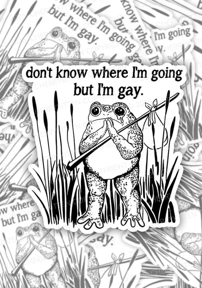 But I Am Gay Frog Pride 1Pc Y2K Sticker Cherrykitten