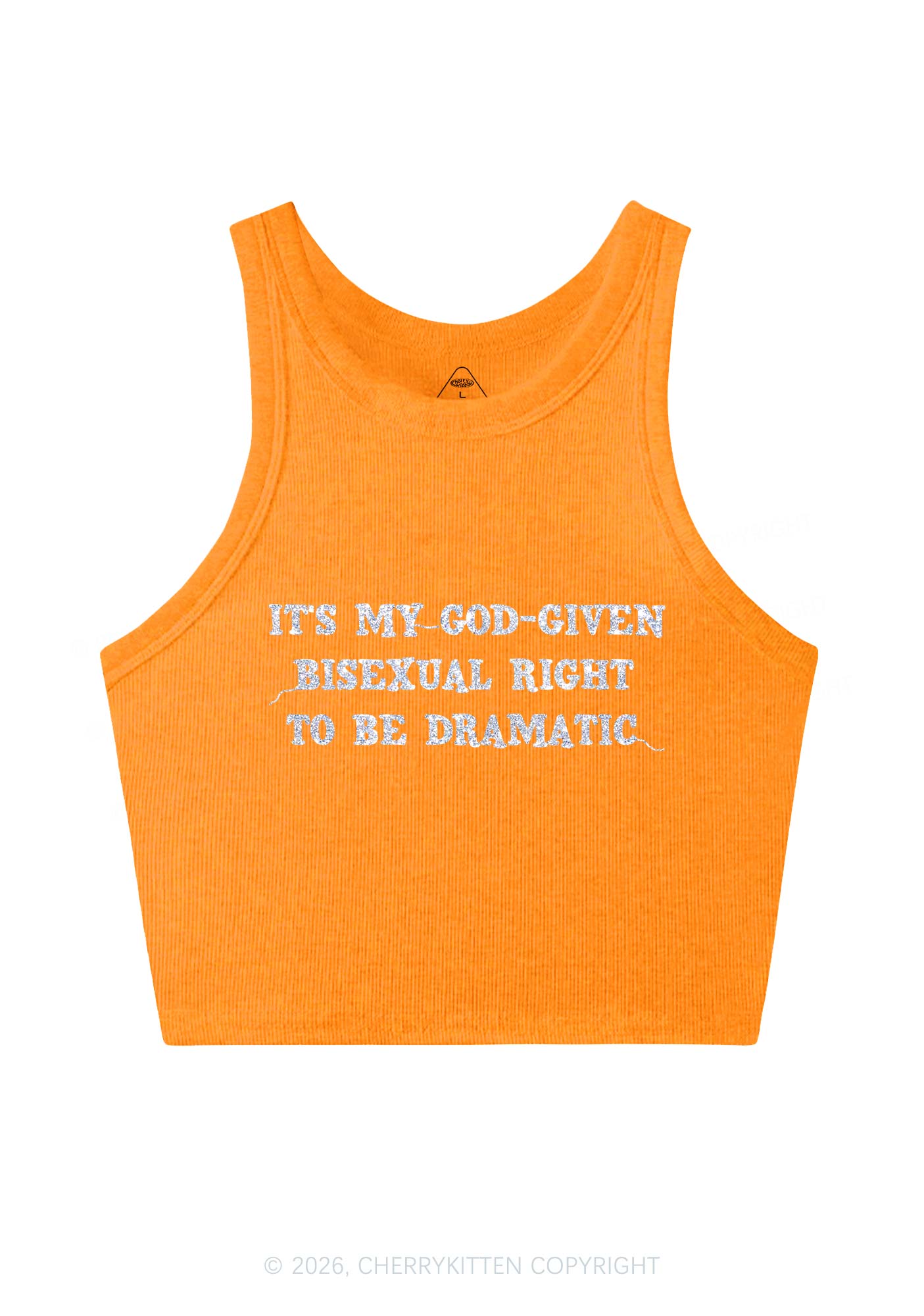 Glitter God Given Bisexual Right Pride Y2K Crop Tank Top Cherrykitten