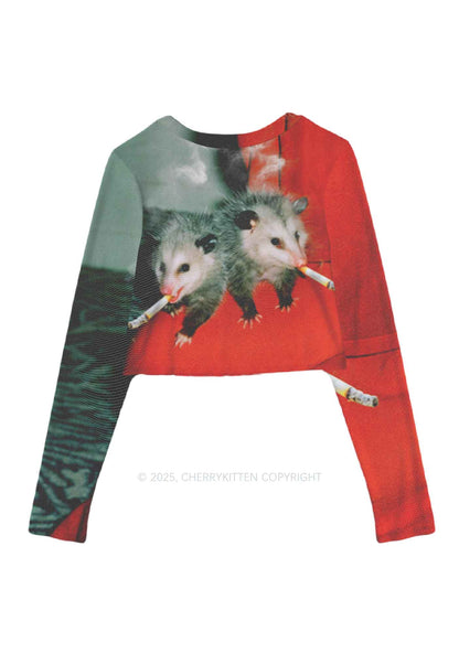 Smoking Badass Rats Y2K Mesh Long Sleeve Crop Top Cherrykitten