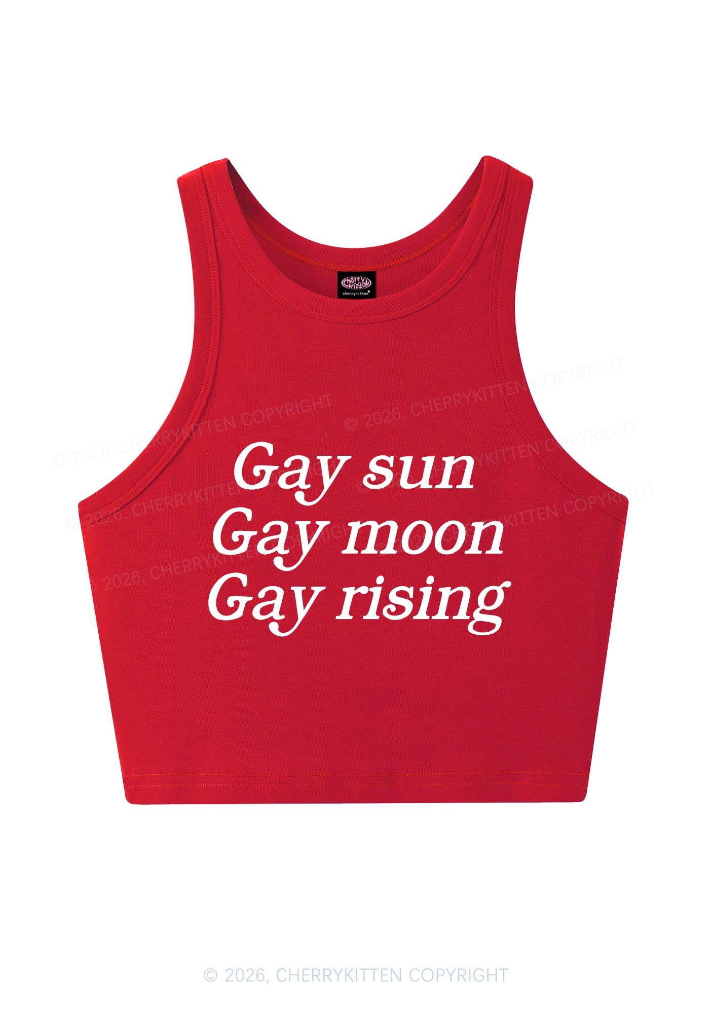 Gay Sun Moon Rising Pride Y2K Crop Tank Top Cherrykitten