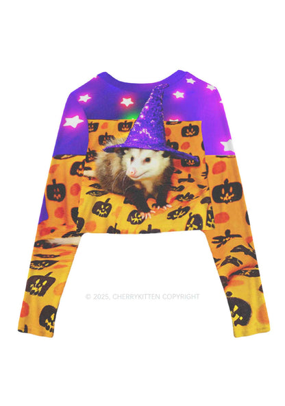 Halloween Sparkle Witch Ratz Y2K Mesh Long Sleeve Crop Top Cherrykitten