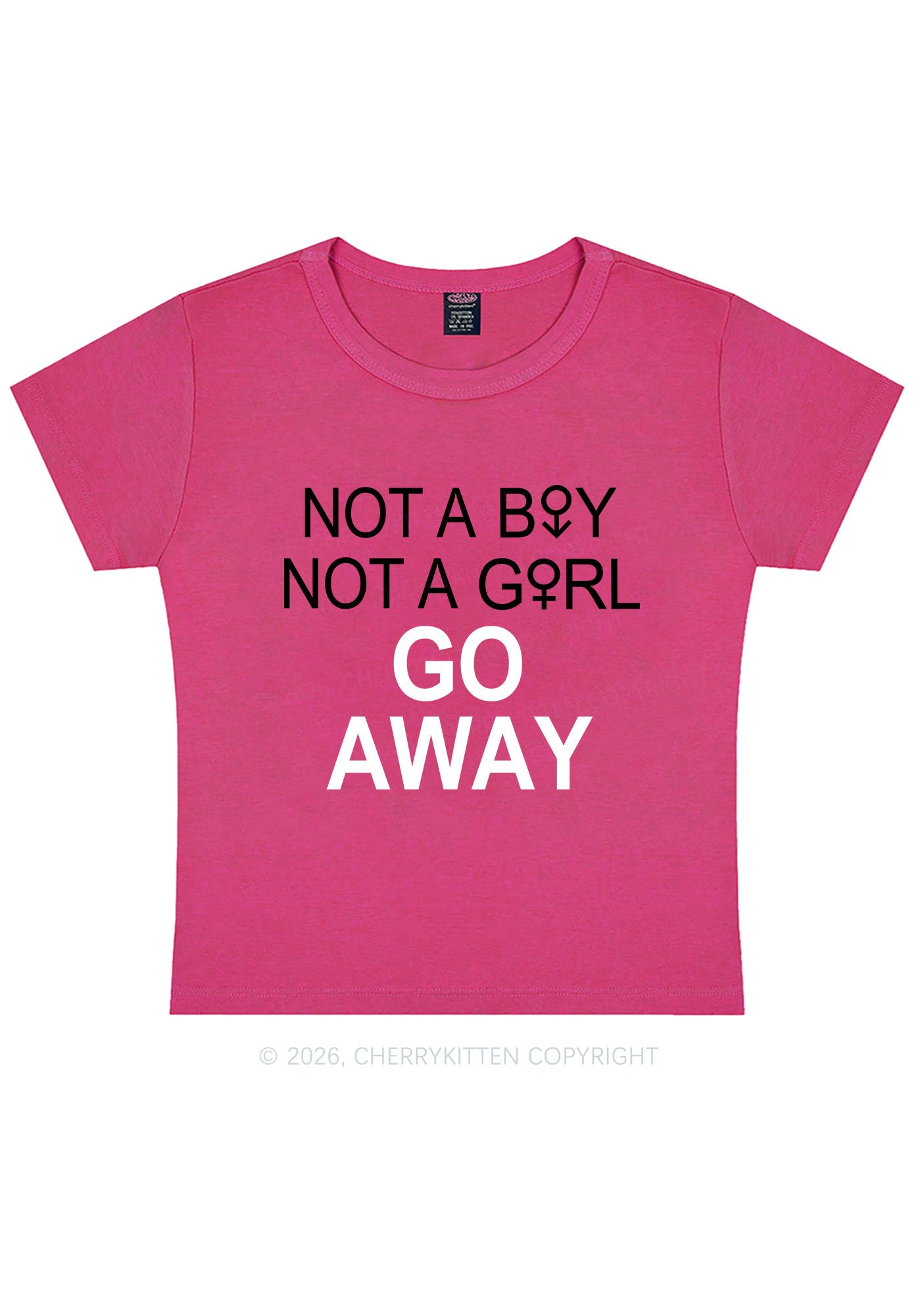 Go Away Pride Y2K Baby Tee Cherrykitten