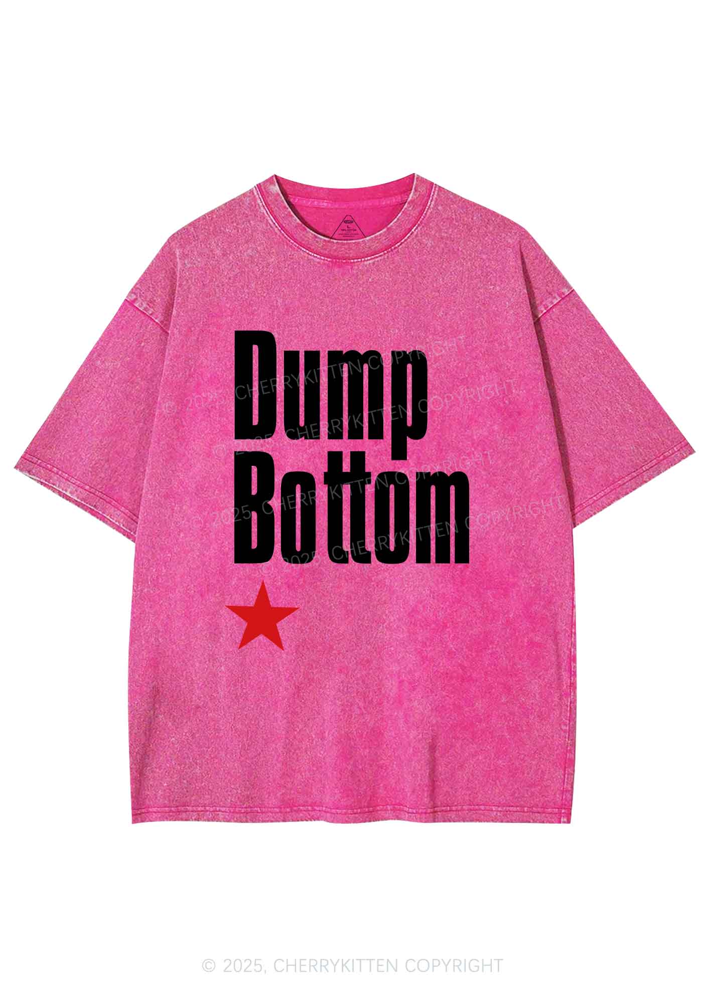 Dump Bottom Pride Y2K Shirts Washed Tee Cherrykitten