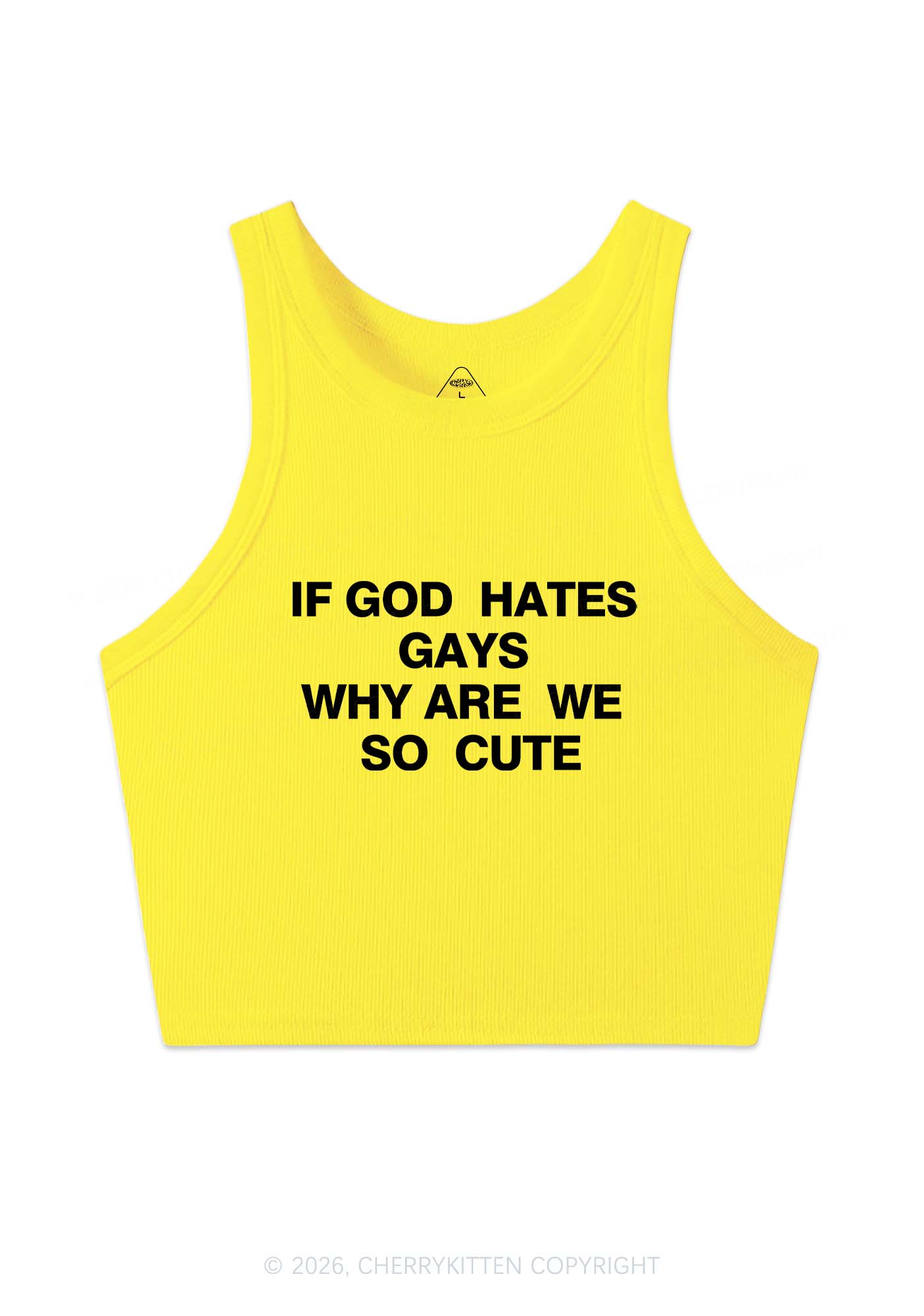 If God Hates Gays Pride Y2K Crop Tank Top Cherrykitten