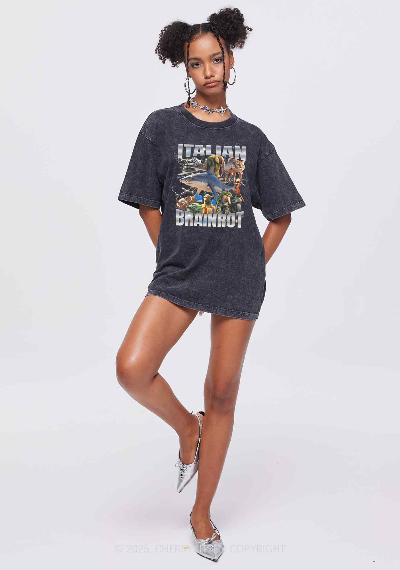 Italian Brainrot Collection Y2K Shirts Washed Tee Cherrykitten
