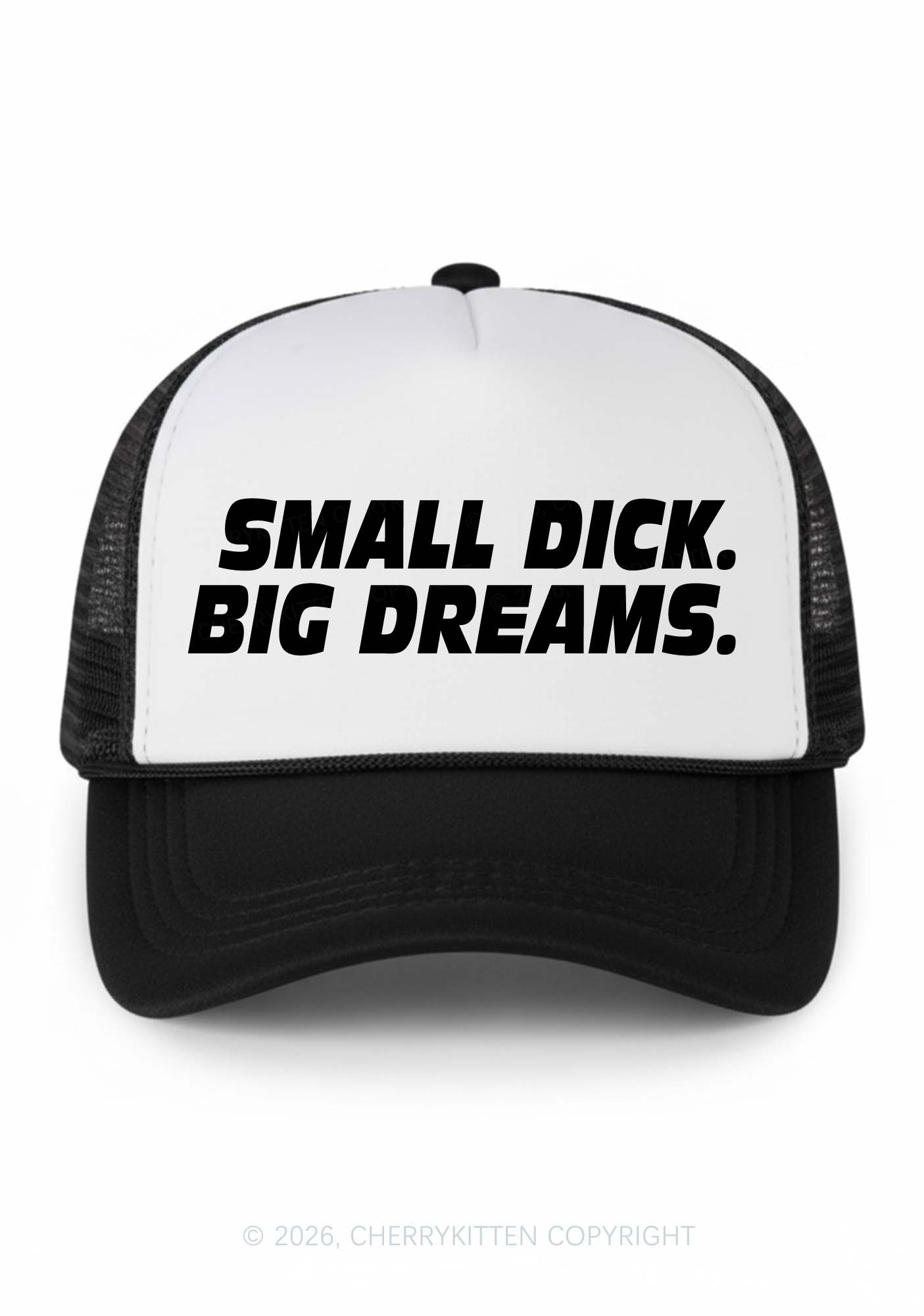Small Dxxk Big Dreams Y2K Colorblock Trucker Hat Cherrykitten