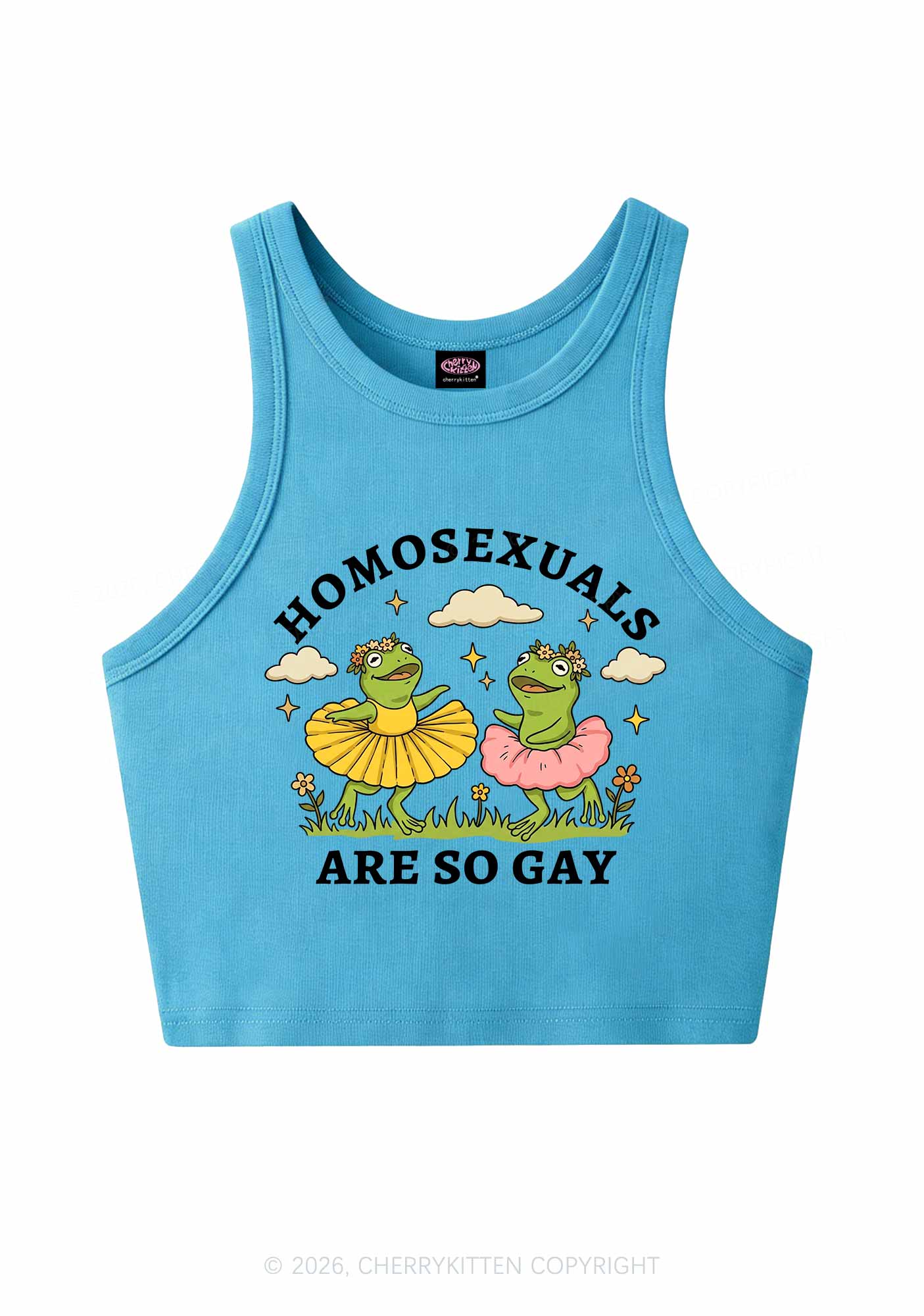 Homosexuals Are So Gay Pride Y2K Crop Tank Top Cherrykitten
