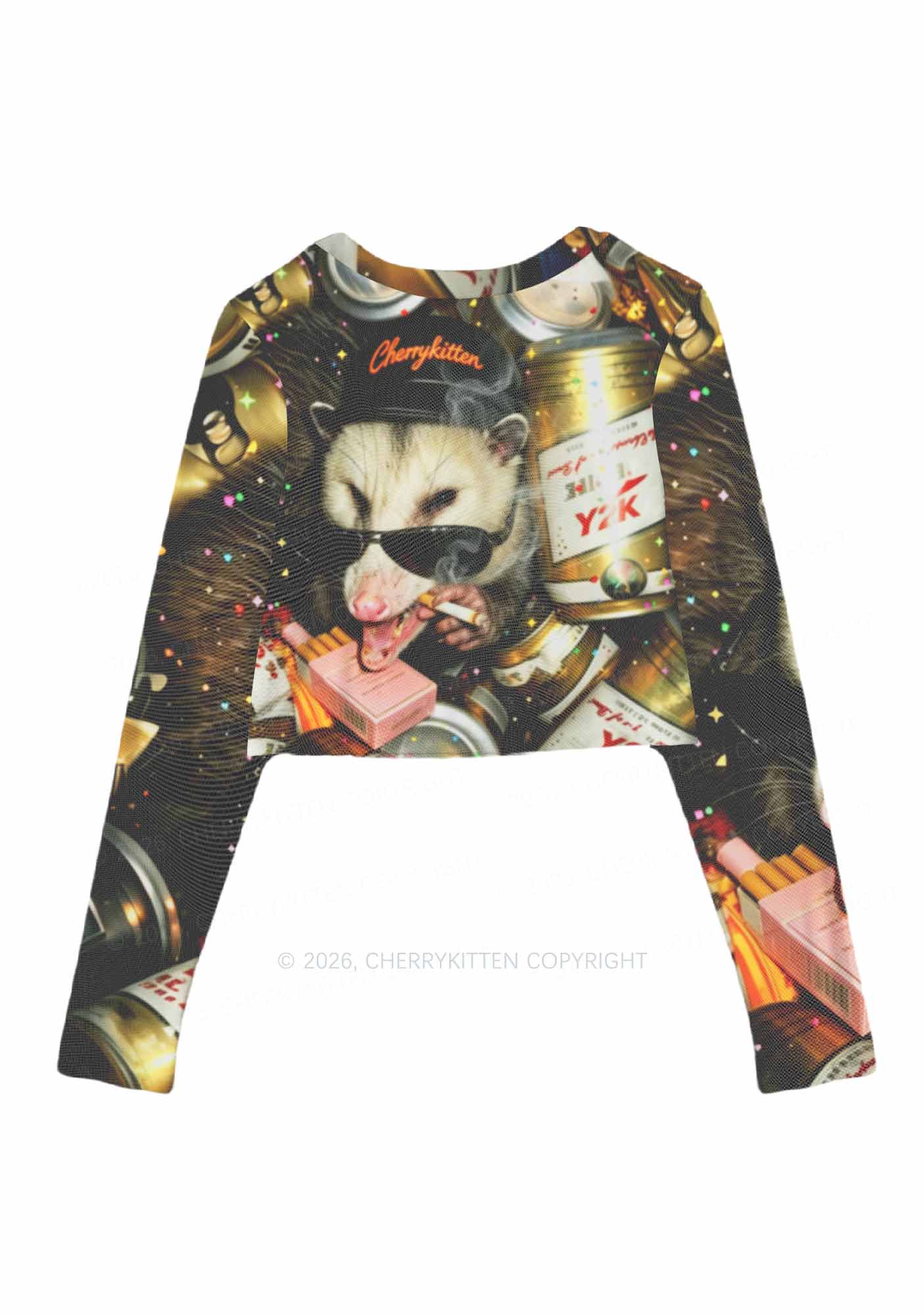 Smoking Opossum Y2K Mesh Long Sleeve Crop Top Cherrykitten