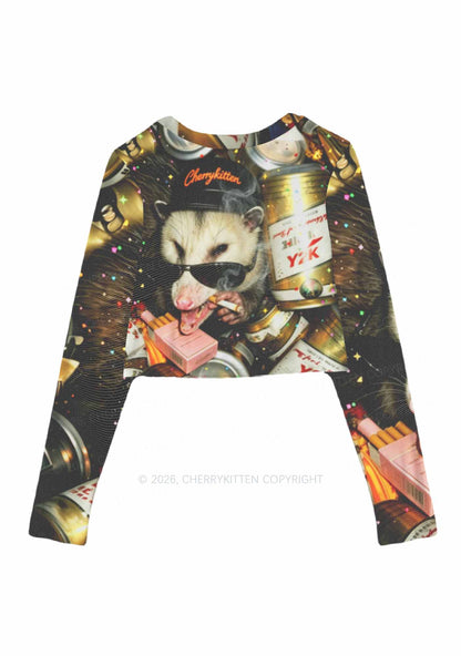 Smoking Opossum Y2K Mesh Long Sleeve Crop Top Cherrykitten