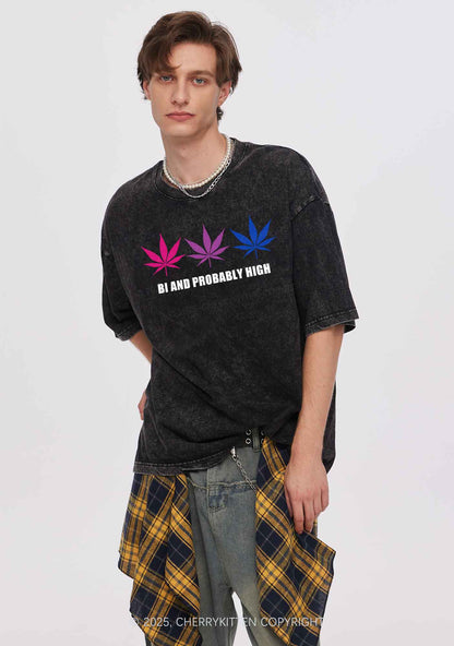 Bi Probably High Pride Y2K Shirts Washed Tee Cherrykitten