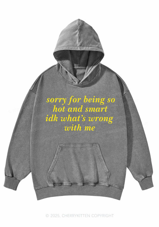 Sorry For Being So Smart Y2K Washed Hoodie Cherrykitten