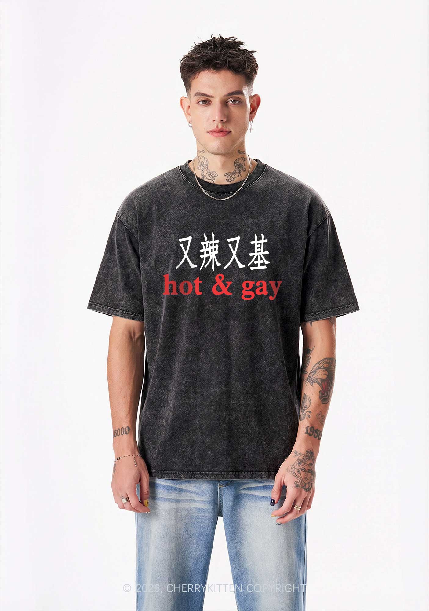Hot Gay Pride Y2K Shirts Washed Tee Cherrykitten