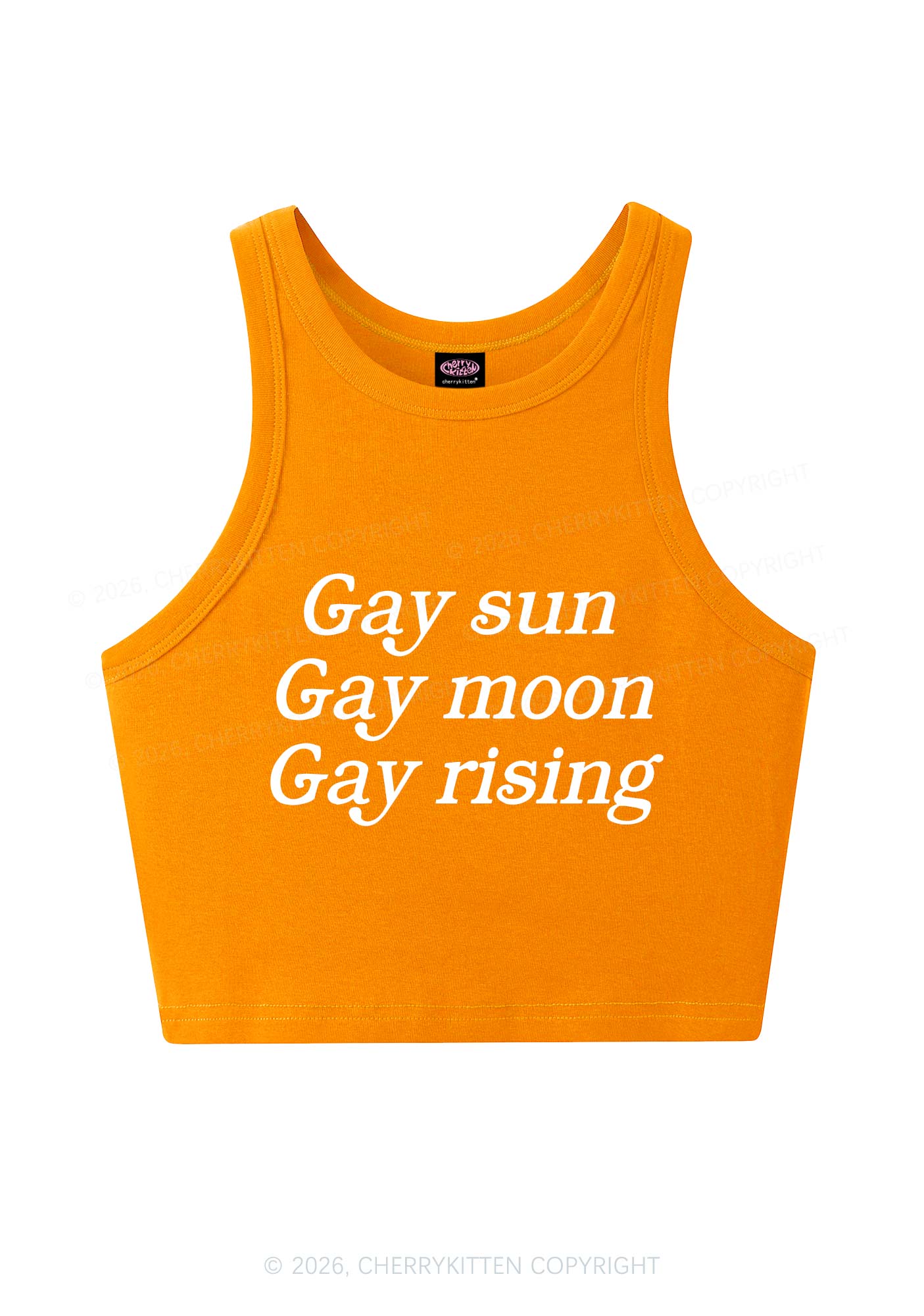 Gay Sun Moon Rising Pride Y2K Crop Tank Top Cherrykitten