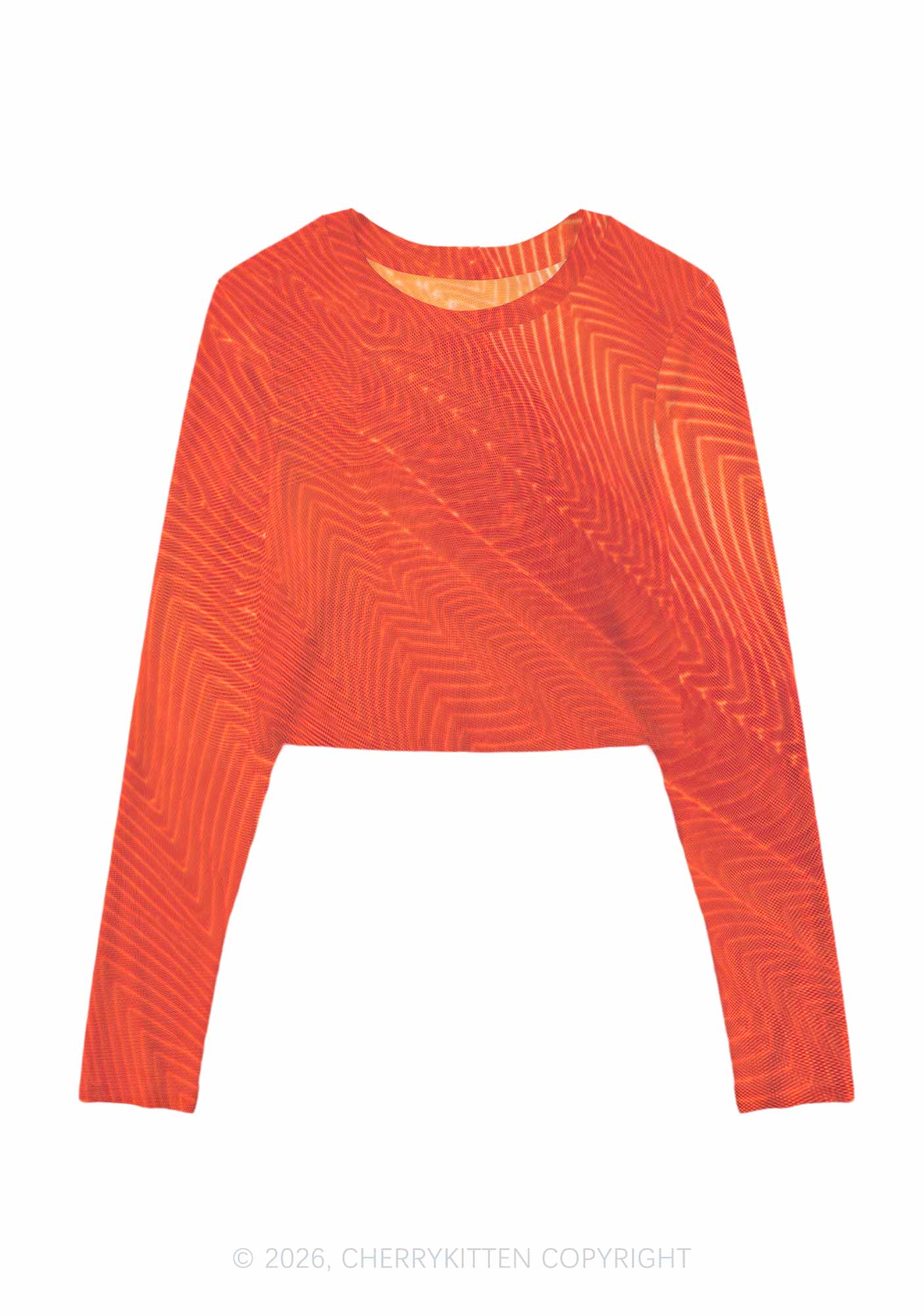 Salmon Meat Texture Y2K Mesh Long Sleeve Crop Top Cherrykitten