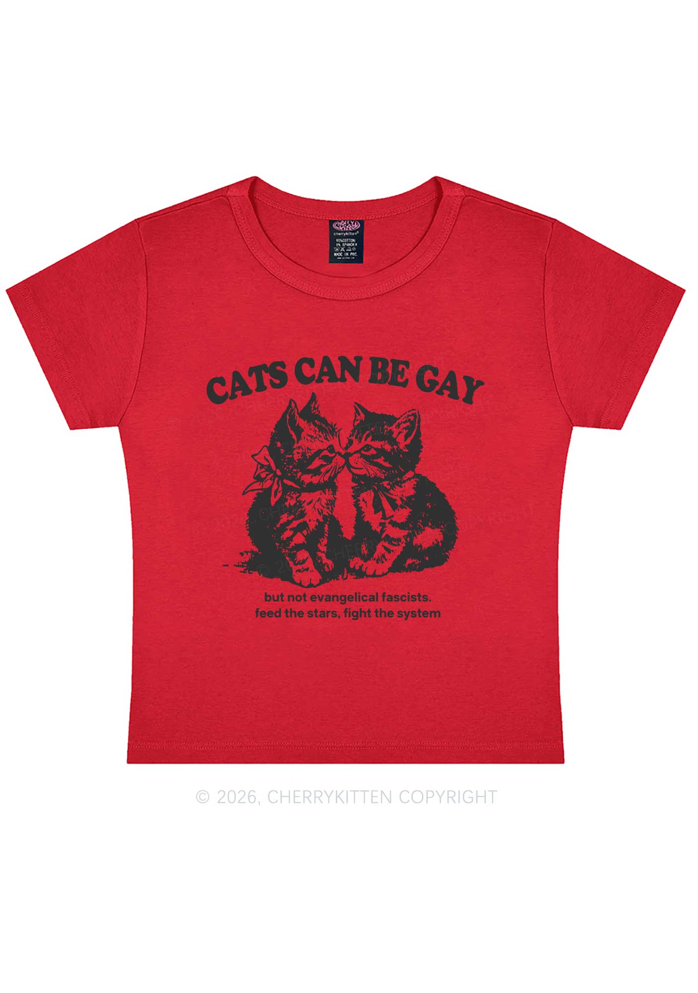 Cat Can Be Gay Pride Y2K Baby Tee Cherrykitten
