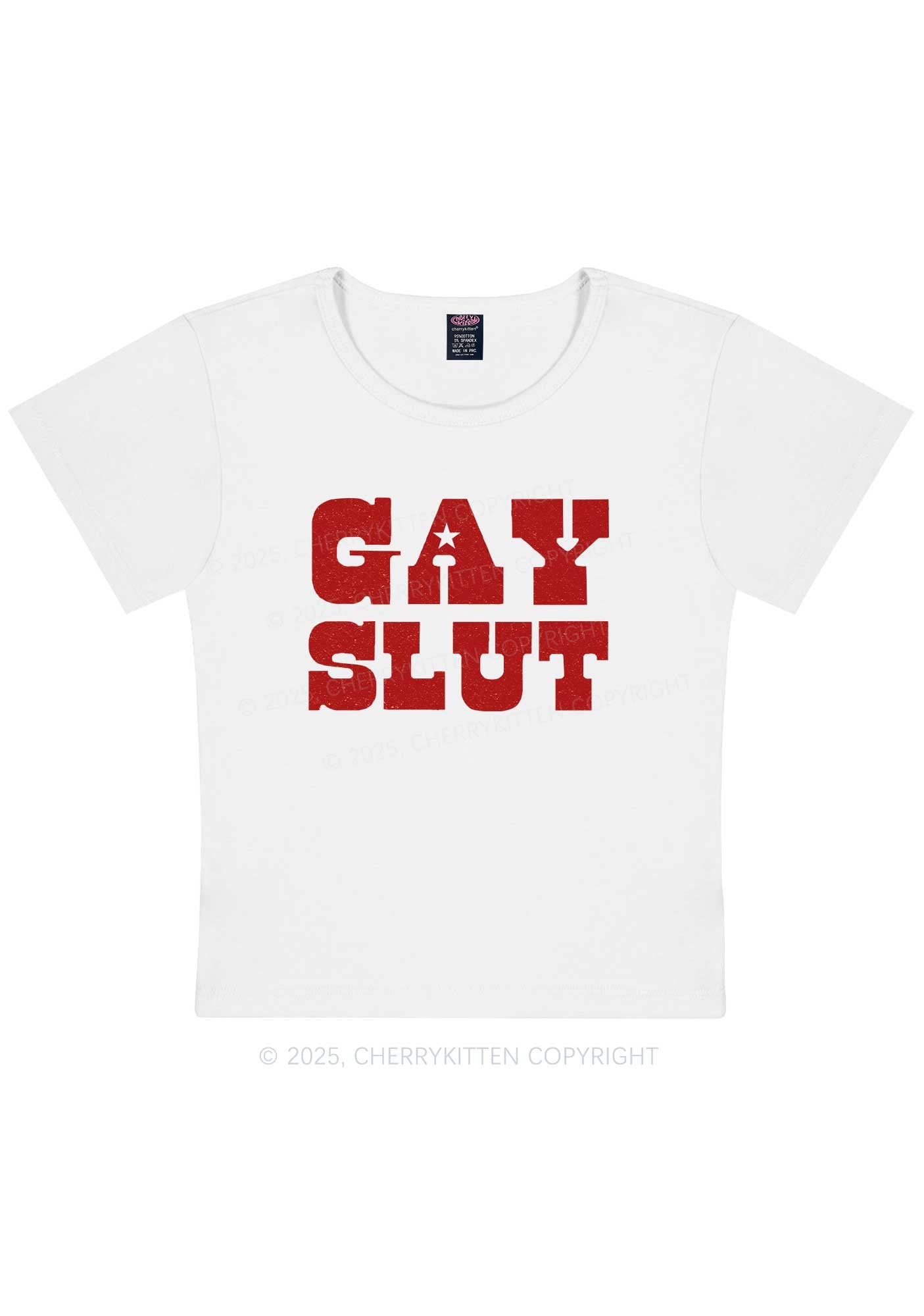 Gay Slxt Pride Y2K Baby Tee Cherrykitten