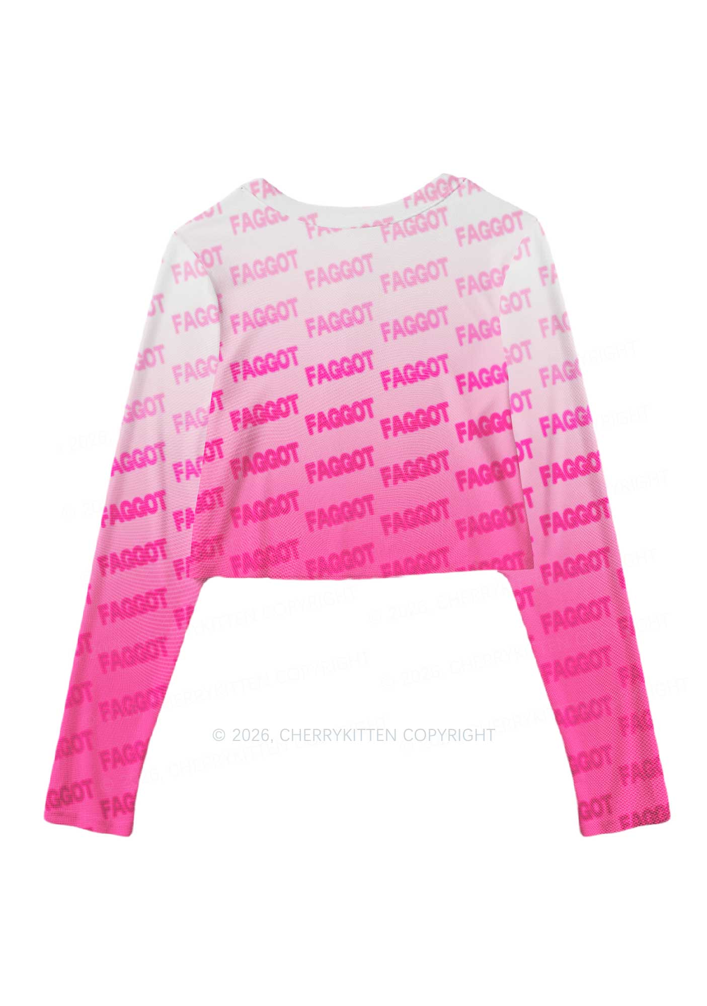 Faded Pink Faggot Pride Y2K Mesh Long Sleeve Crop Top Cherrykitten