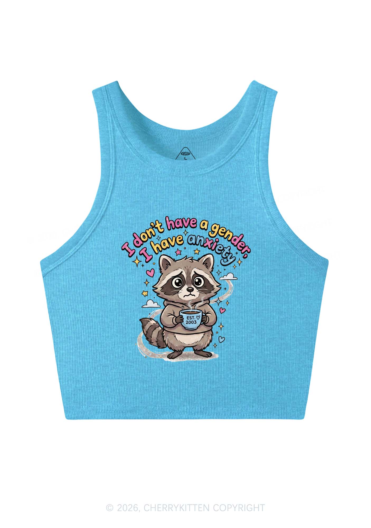 Raccoon I dont Have A Gender Pride Y2K Crop Tank Top Cherrykitten