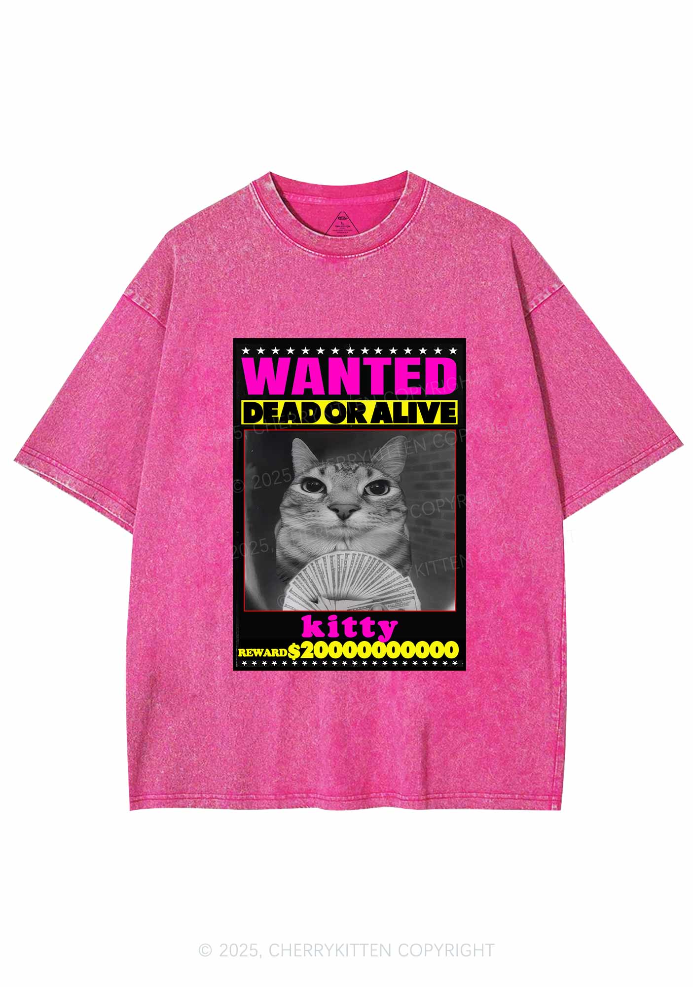 Custom Wanted Kitten Y2K Shirts Washed Tee Cherrykitten
