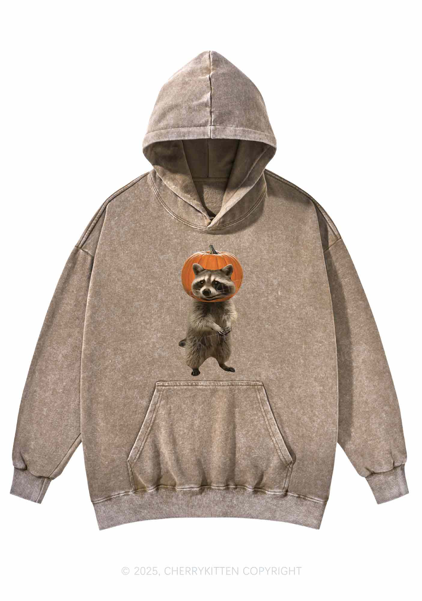 Halloween Silly Raccoon Y2K Washed Hoodie Cherrykitten