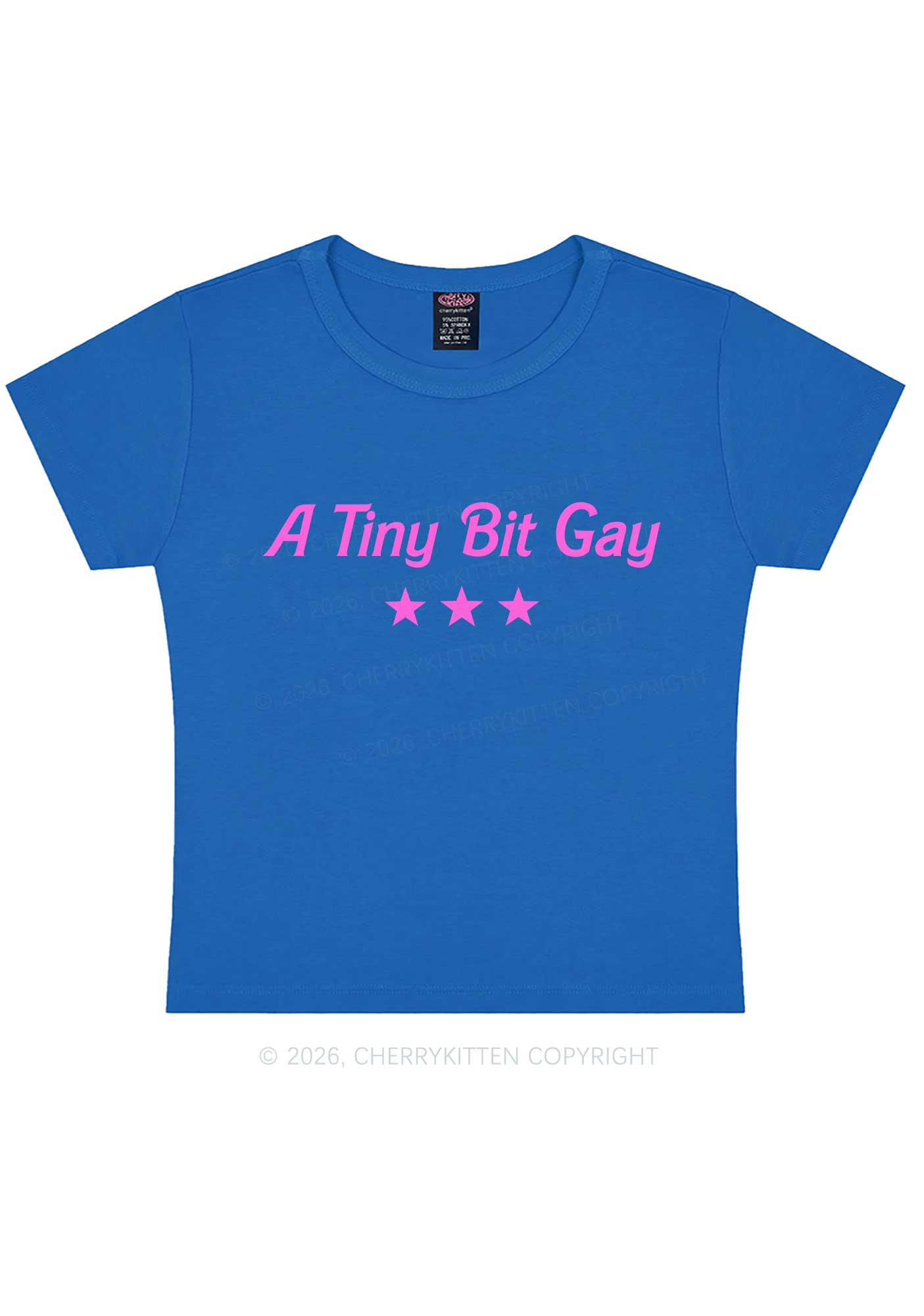 A Tiny Bit Gay Pride Y2K Baby Tee Cherrykitten