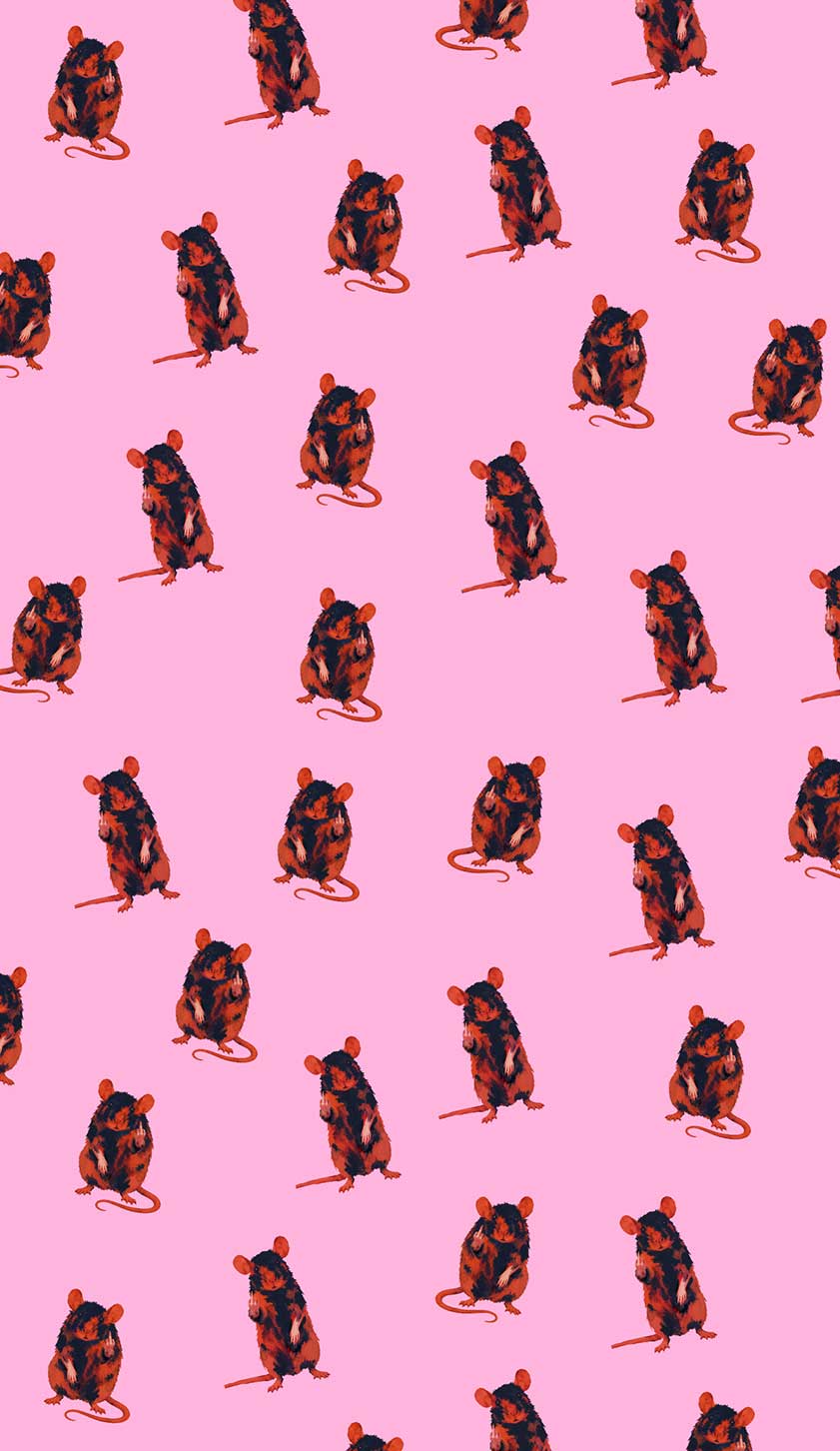 Sassy Rat Y2K Phone Case Cherrykitten