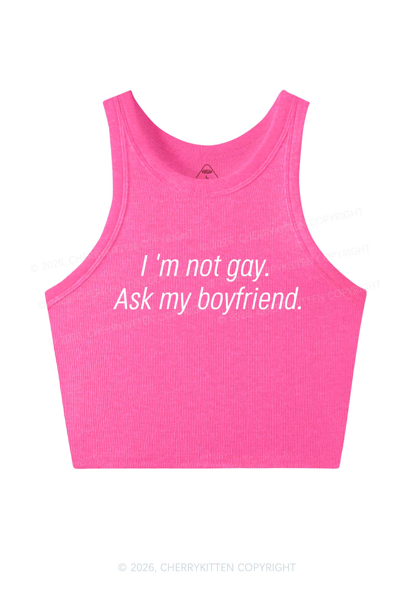 Im Not Gay Pride Y2K Crop Tank Top Cherrykitten