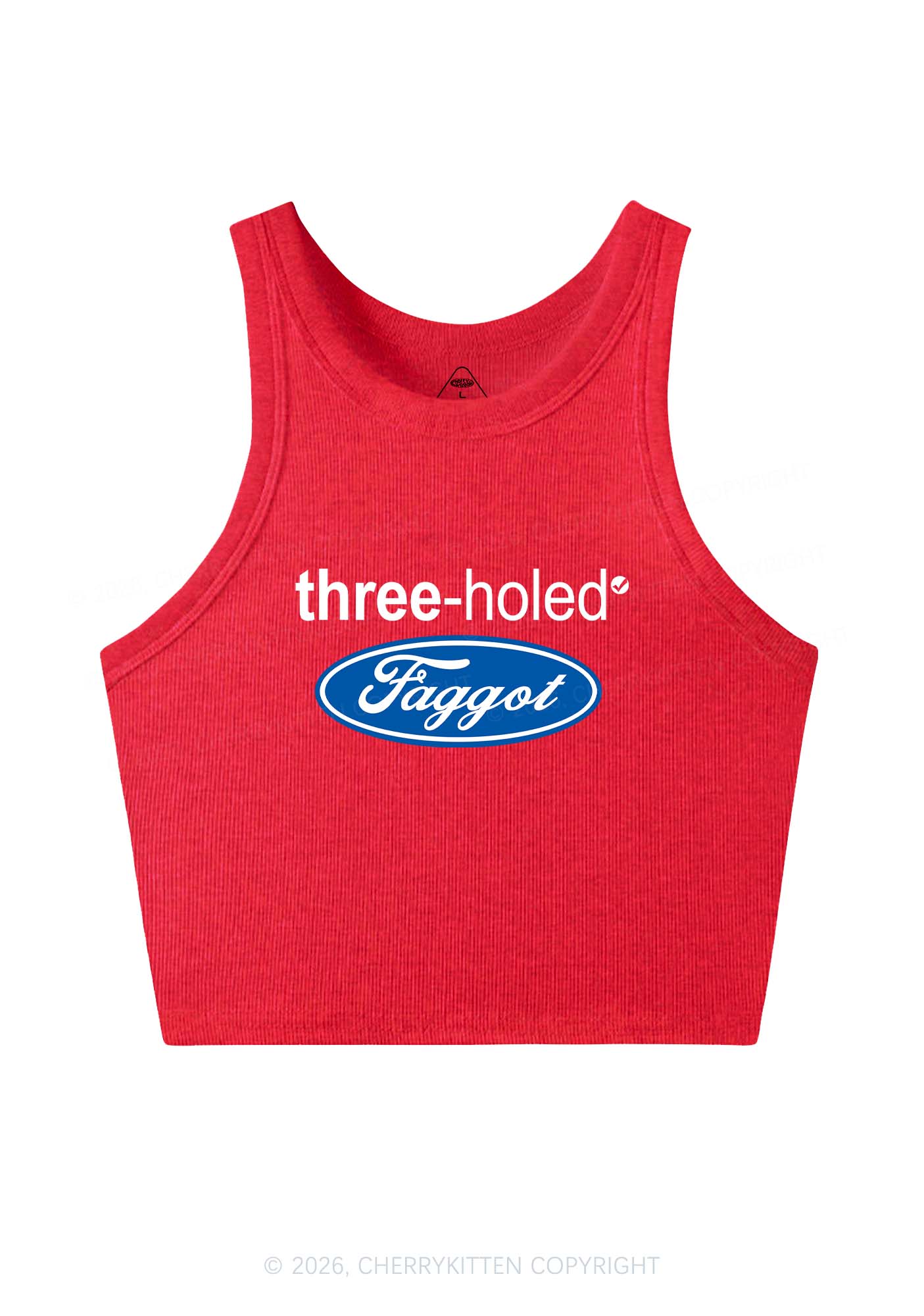 Three Holed Faggot Pride Y2K Crop Tank Top Cherrykitten