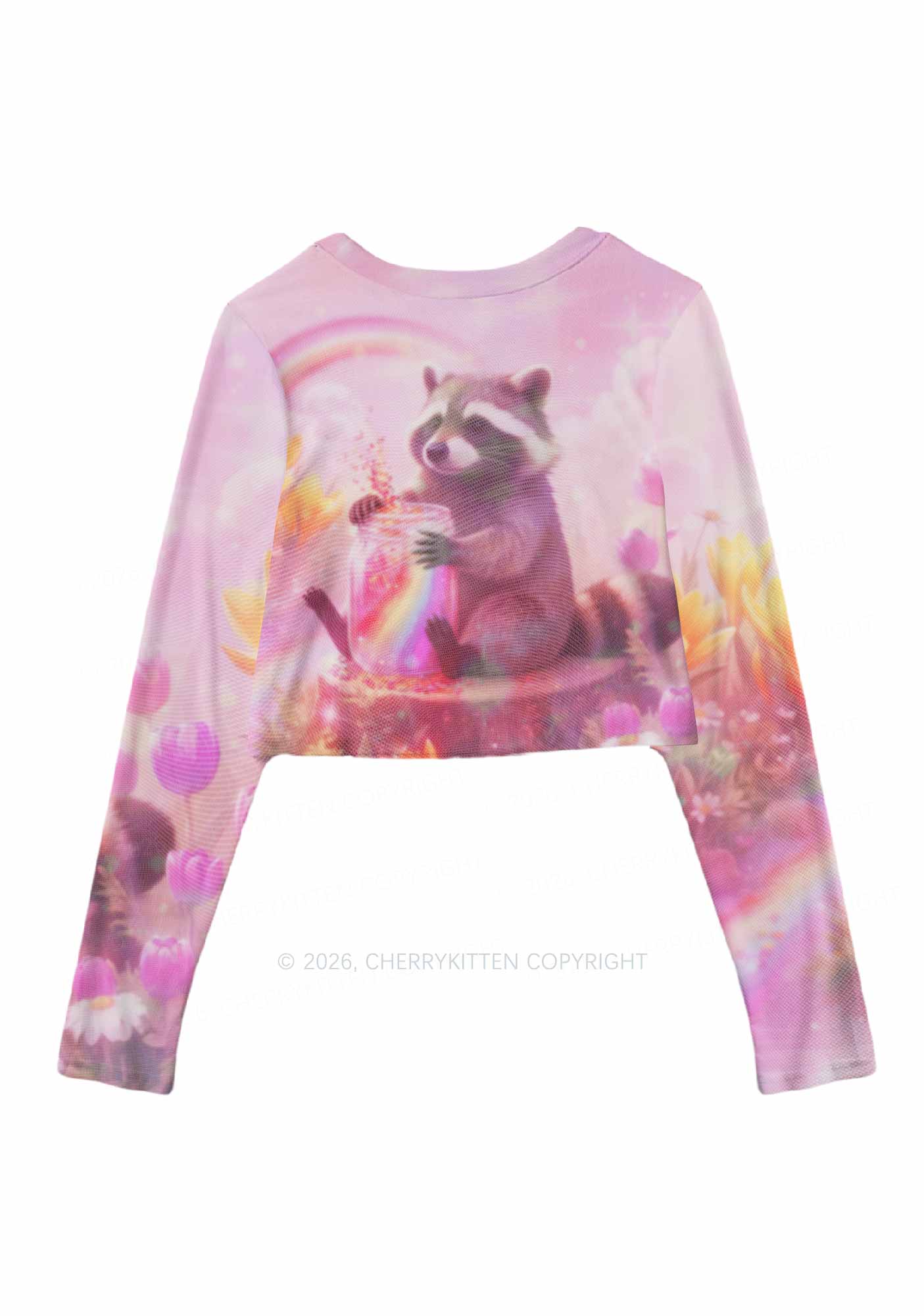 Rainbow Raccoon Pride Y2K Mesh Long Sleeve Crop Top Cherrykitten