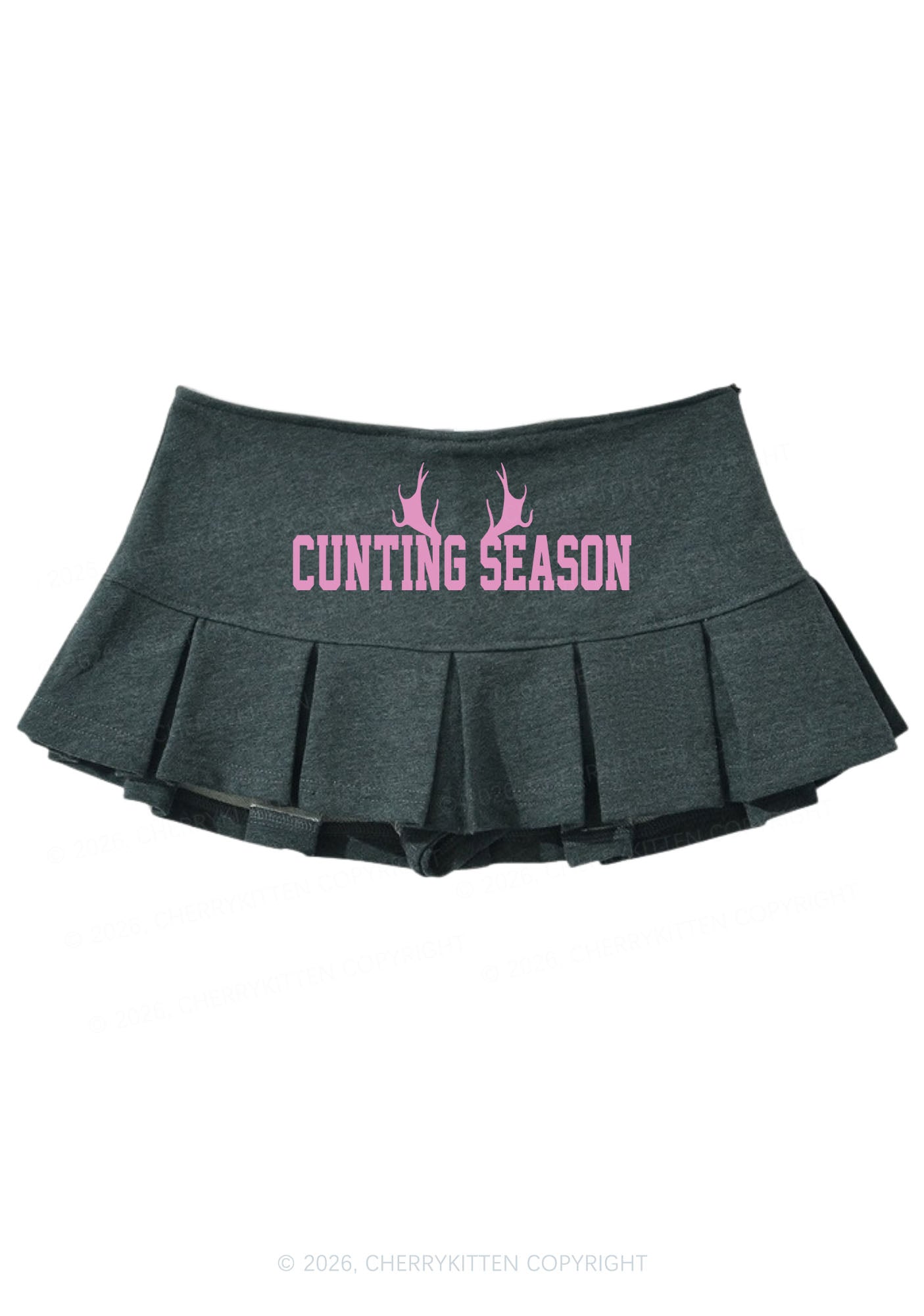 Cunting Season Y2K Mini Pleated Skirts Cherrykitten