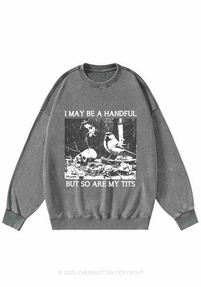Halloween I May Be A Handful Y2K Washed Sweatshirts Cherrykitten