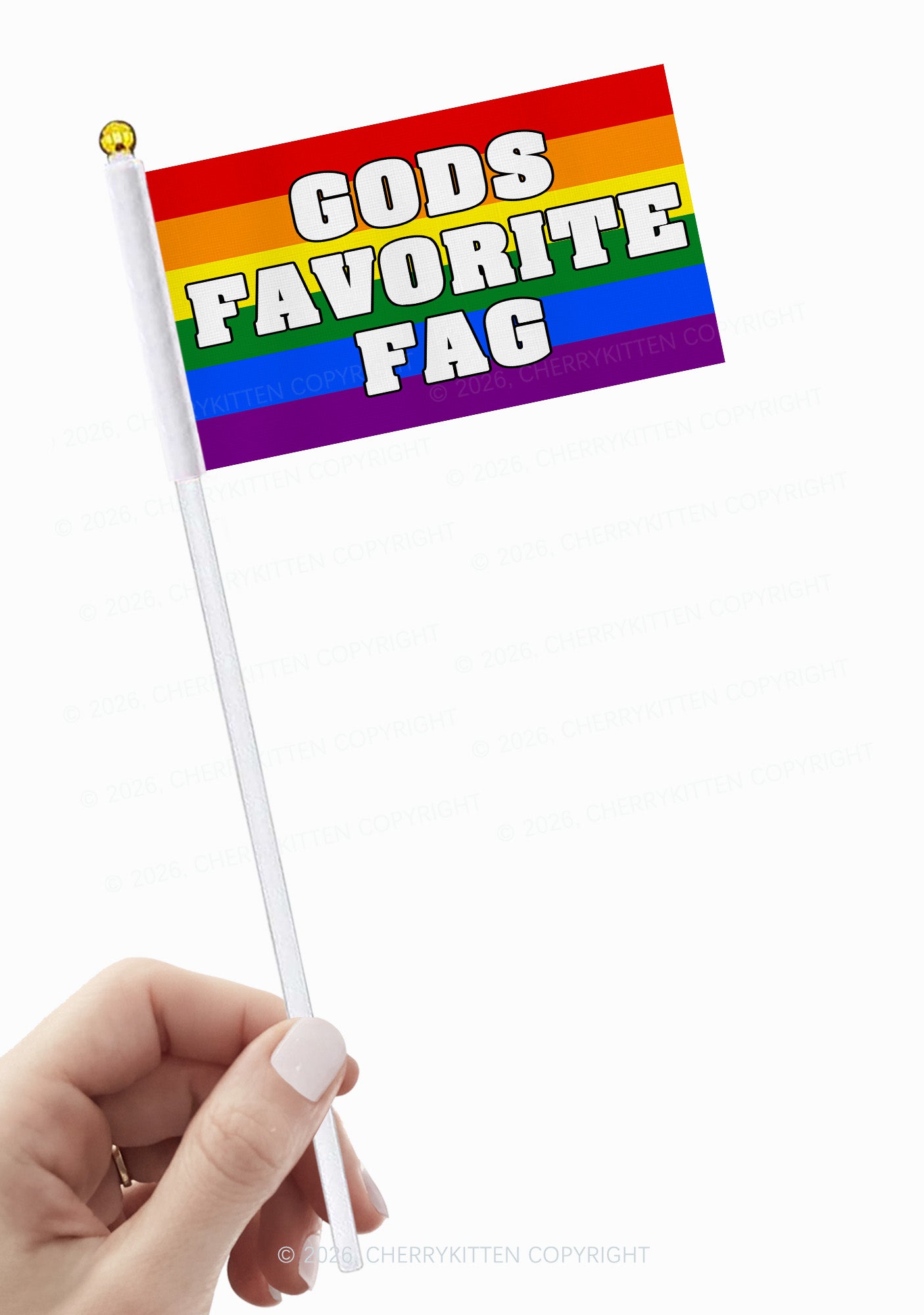 Gods Favorite Fag Rainbow Stripes Pride Y2K Hand Flags Cherrykitten