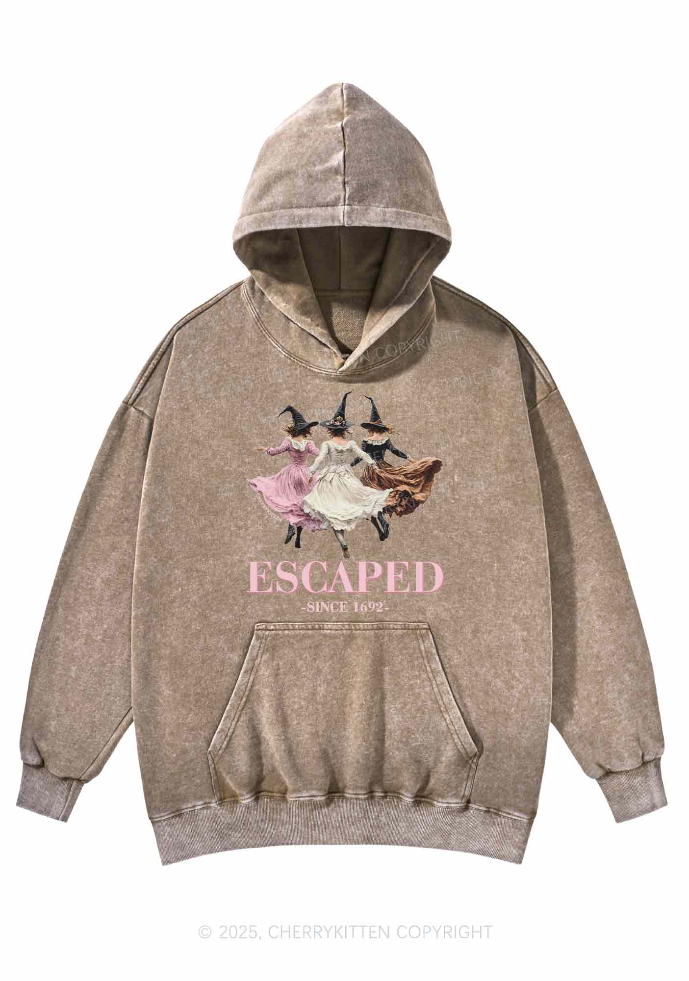 Halloween Escaped Skirts Witches Y2K Washed Hoodie Cherrykitten