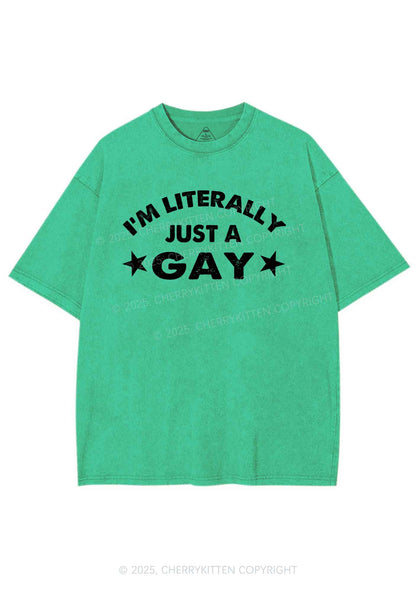 Literally Just A Gay Pride Y2K Shirts Washed Tee Cherrykitten