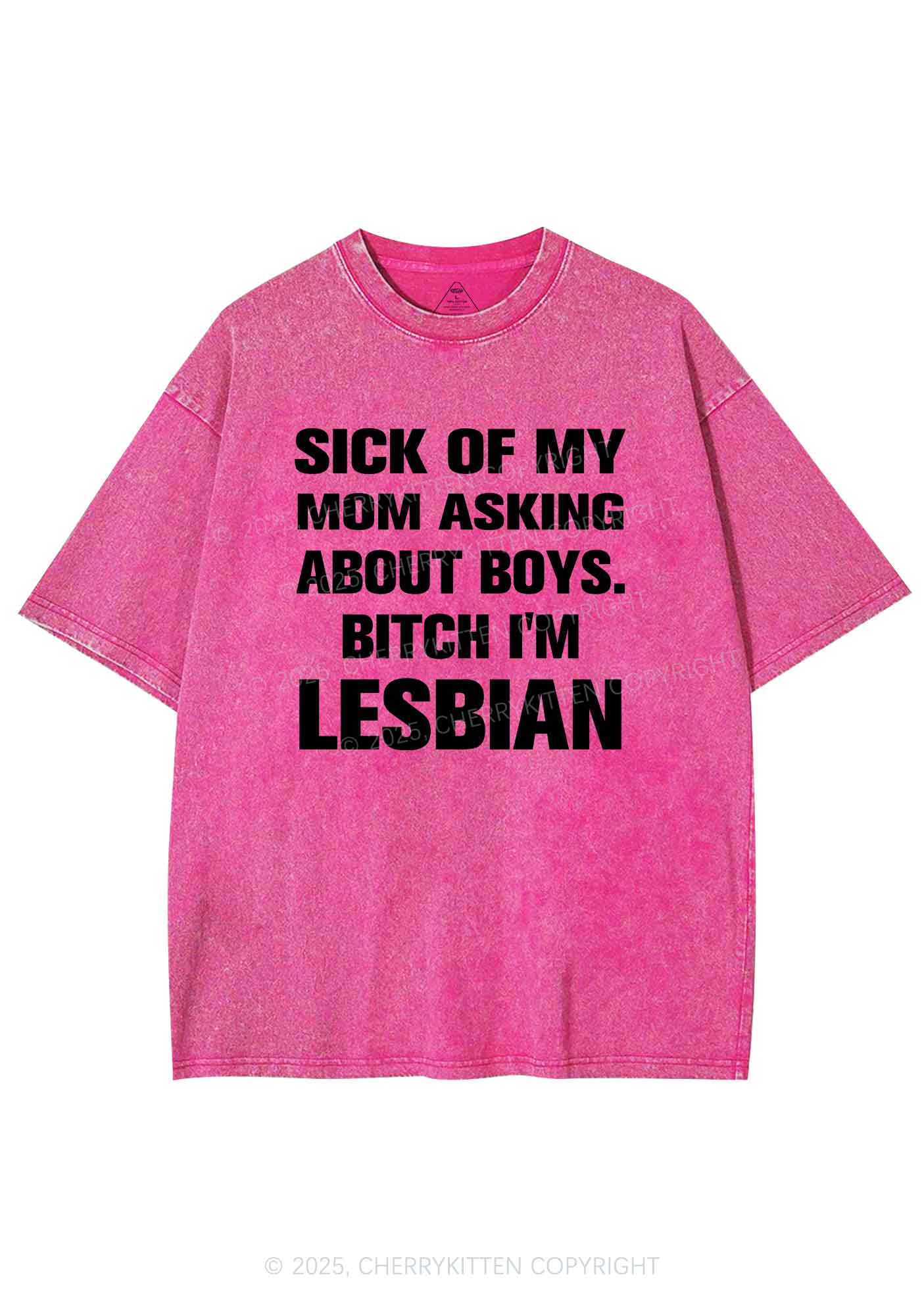 Bxxch Im Lesbian Pride Y2K Shirts Washed Tee Cherrykitten