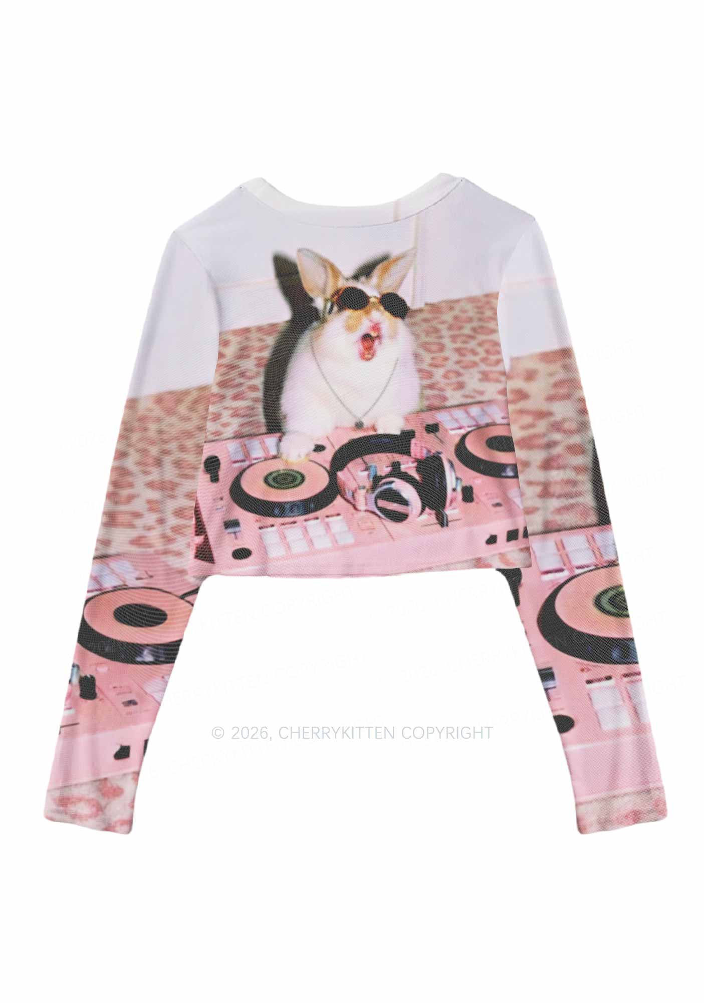 Dj Bunny Y2K Mesh Long Sleeve Crop Top Cherrykitten