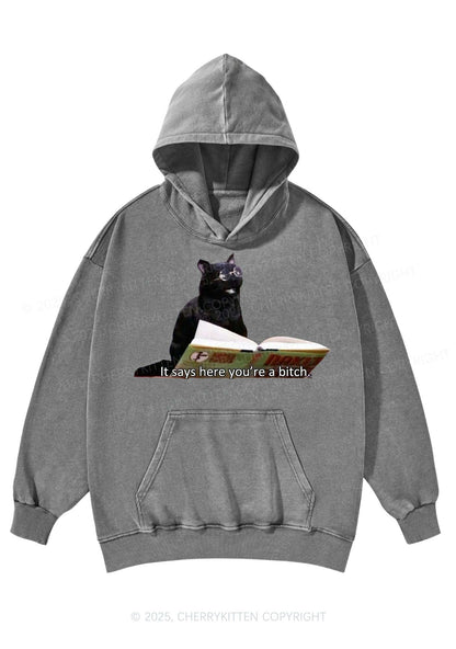 It Says Here Youre A Bixxh Y2K Washed Hoodie Cherrykitten
