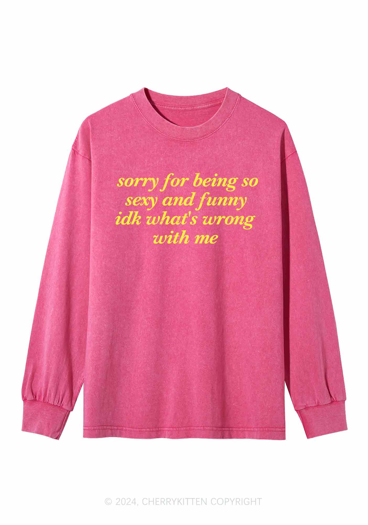 Sorry For Being So Funny Y2K Washed Long Sleeves Cherrykitten