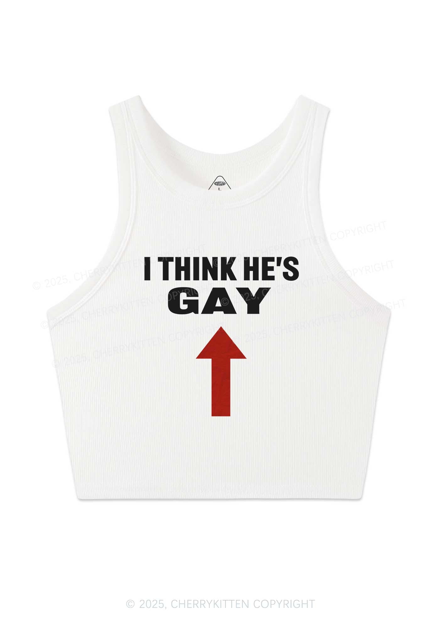 He Is Gay Y2K Crop Tank Top Cherrykitten