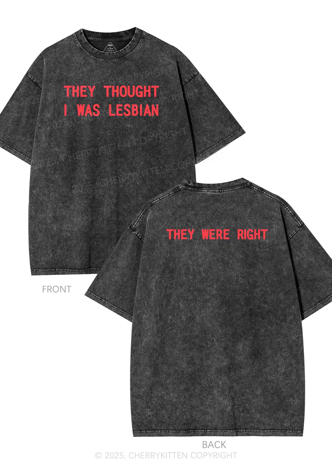 I Was Lesbian Two Sides Pride Y2K Shirts Washed Tee Cherrykitten