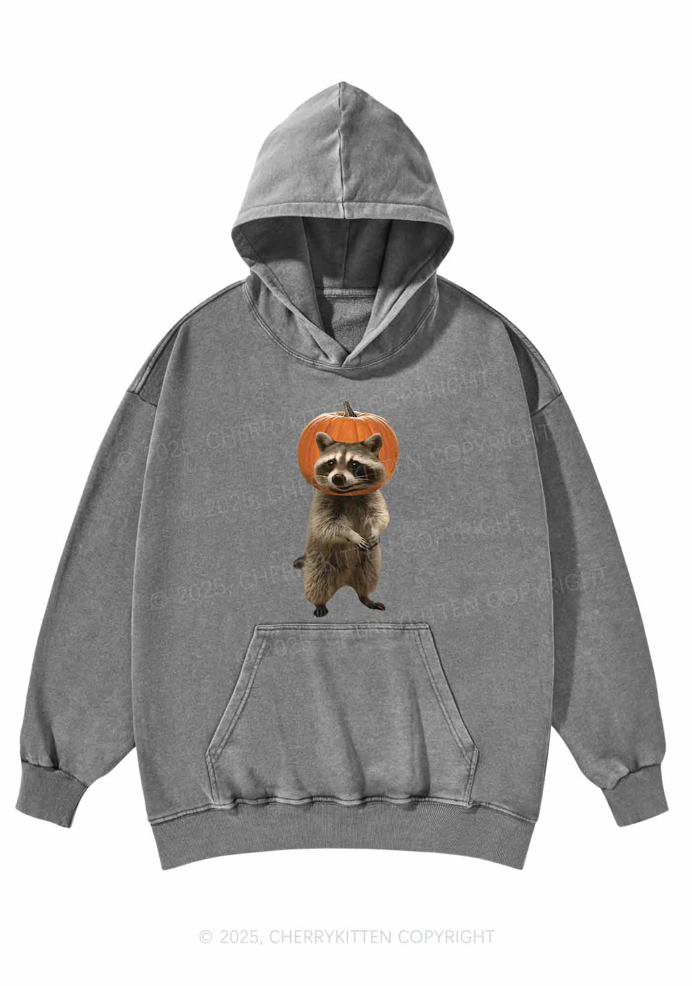 Halloween Silly Raccoon Y2K Washed Hoodie Cherrykitten