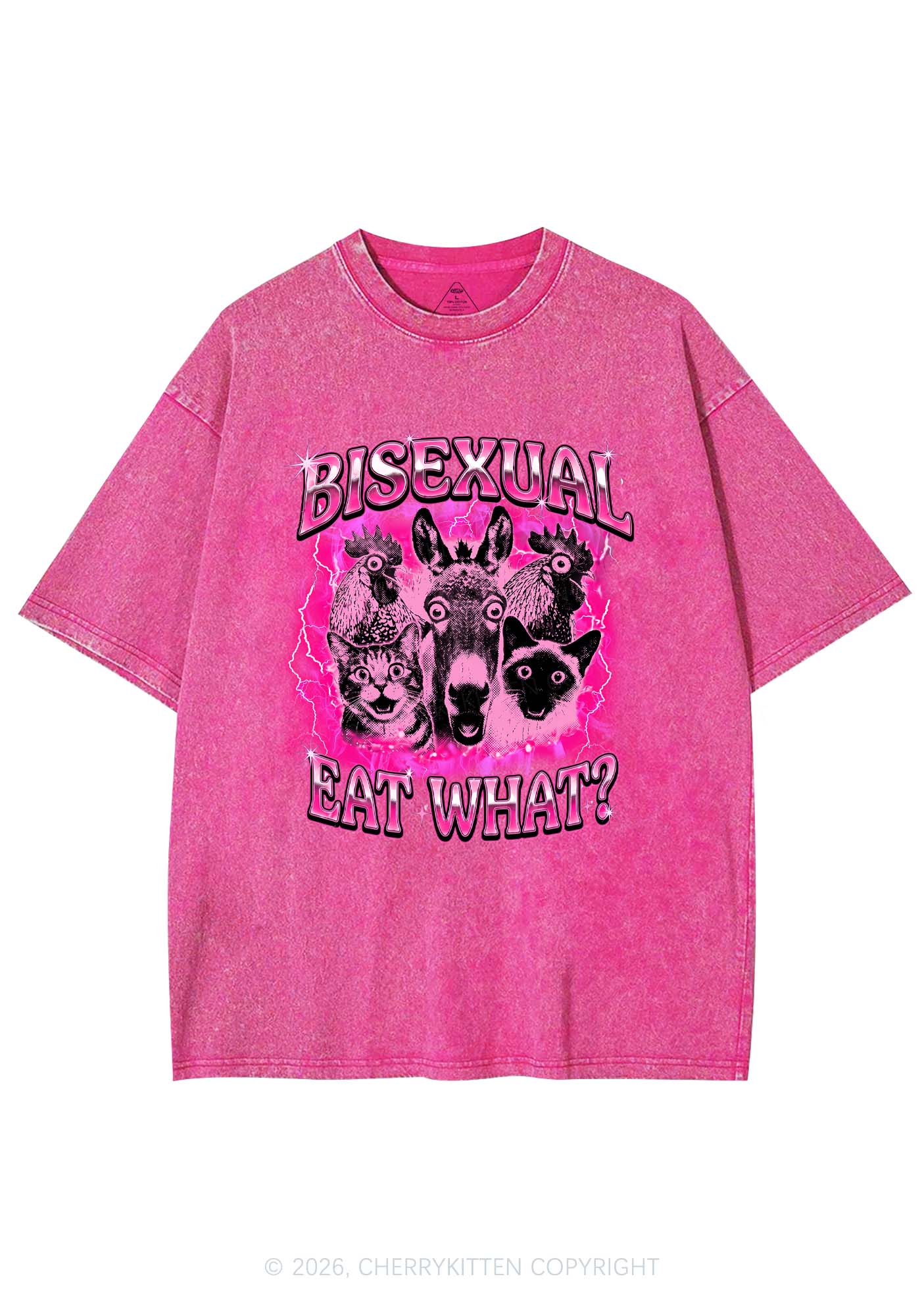 Bisexual Eat What Pride Y2K Shirts Washed Tee Cherrykitten