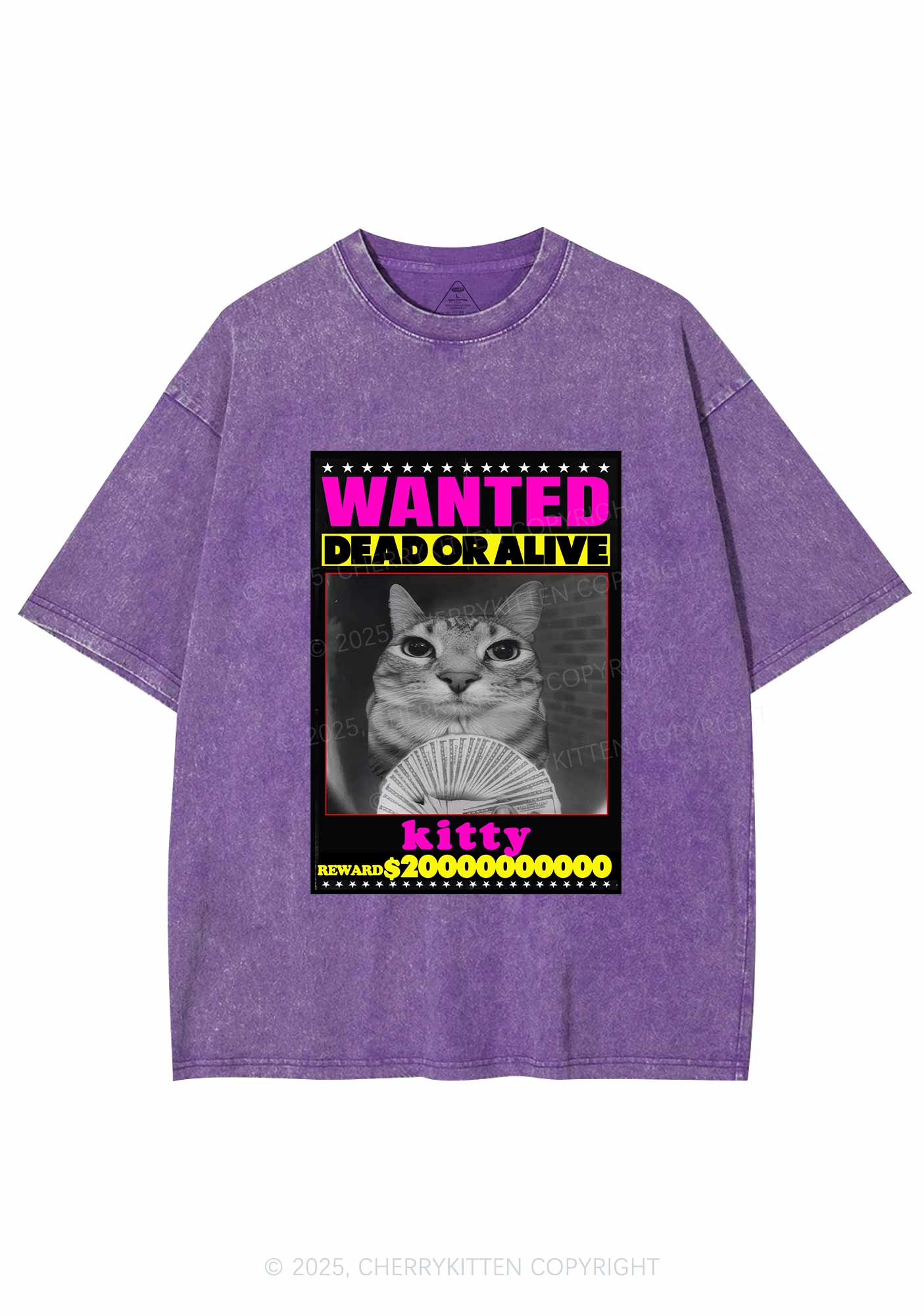 Custom Wanted Kitten Y2K Shirts Washed Tee Cherrykitten
