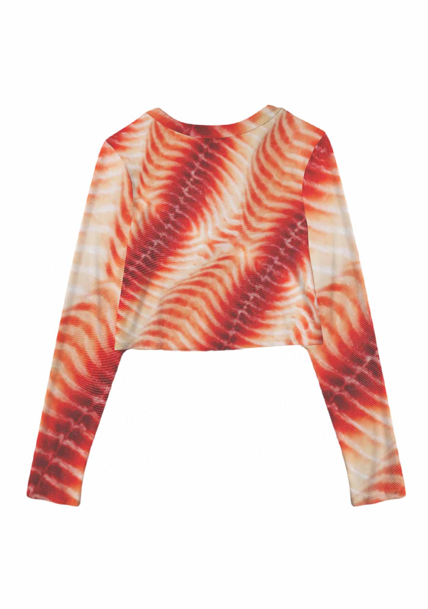 Pork Belly Texture Y2K Mesh Long Sleeve Crop Top Cherrykitten