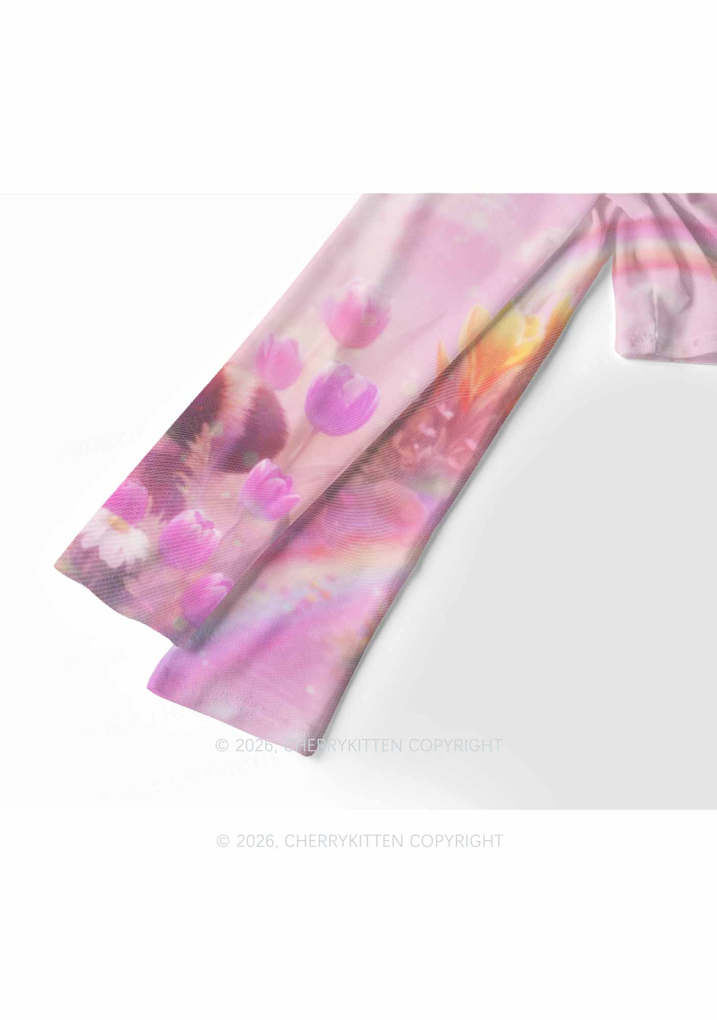 Rainbow Raccoon Pride Y2K Mesh Long Sleeve Crop Top Cherrykitten
